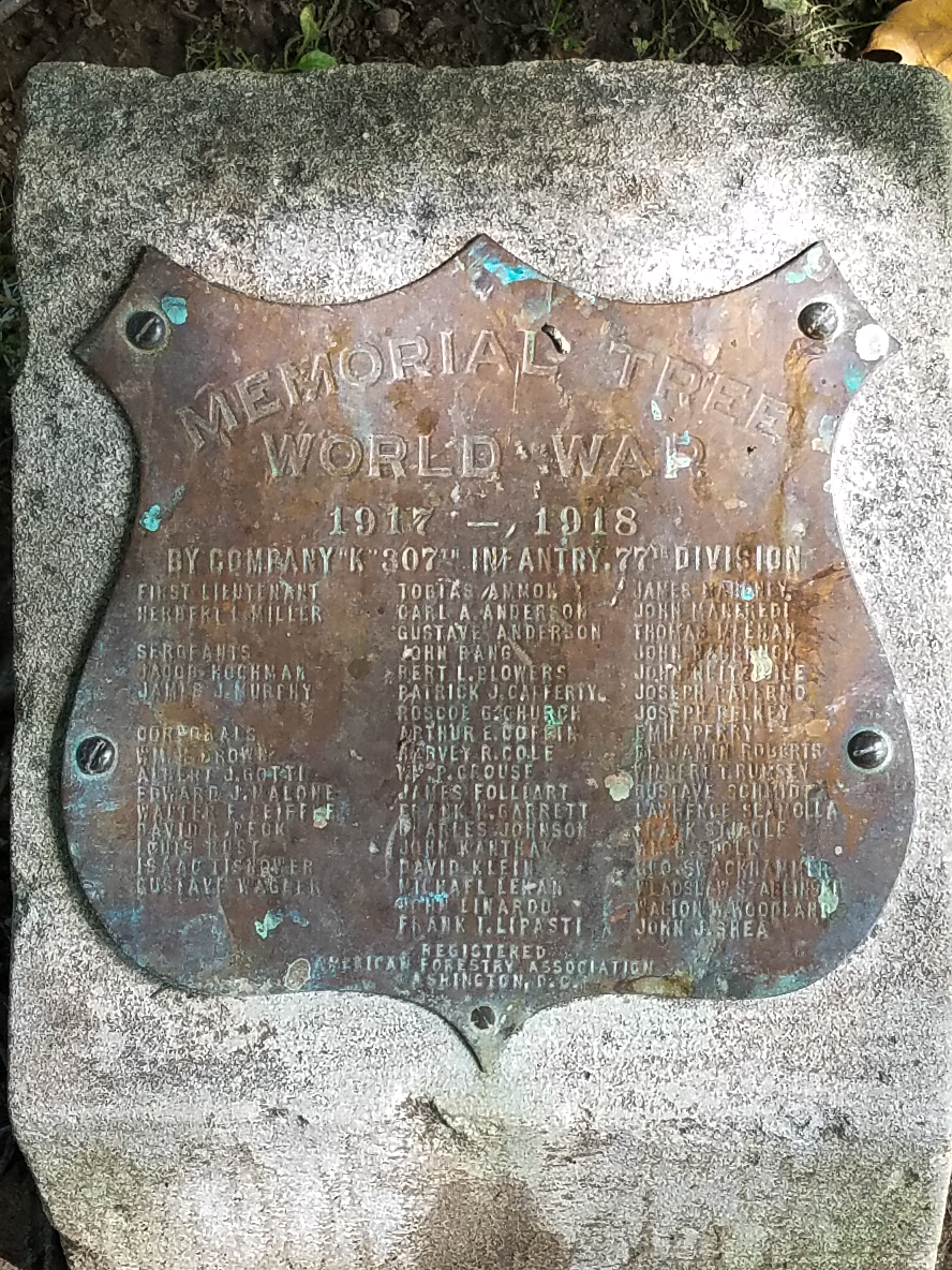 Central Park Private Walking Tour
