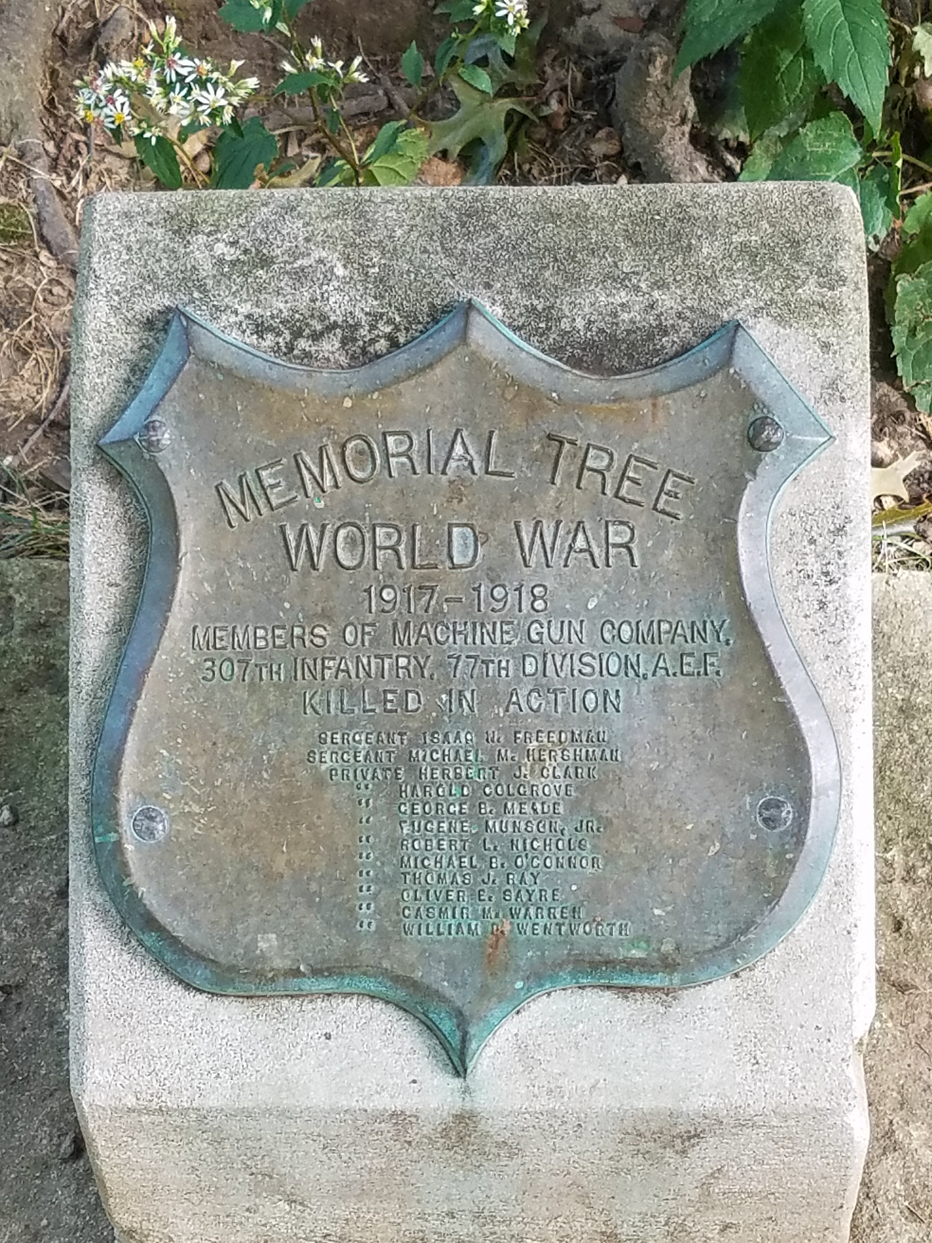 Central Park Private Walking Tour