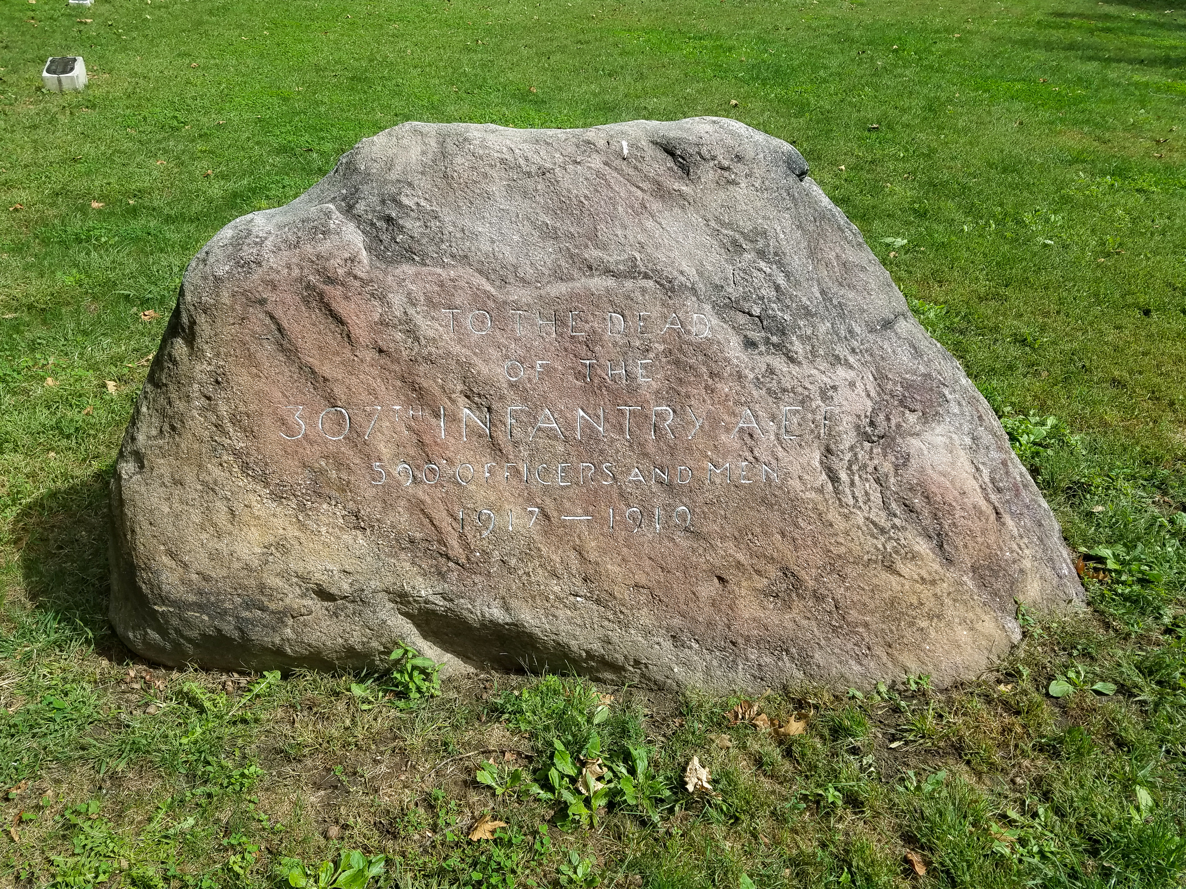 Central Park Private Walking Tour