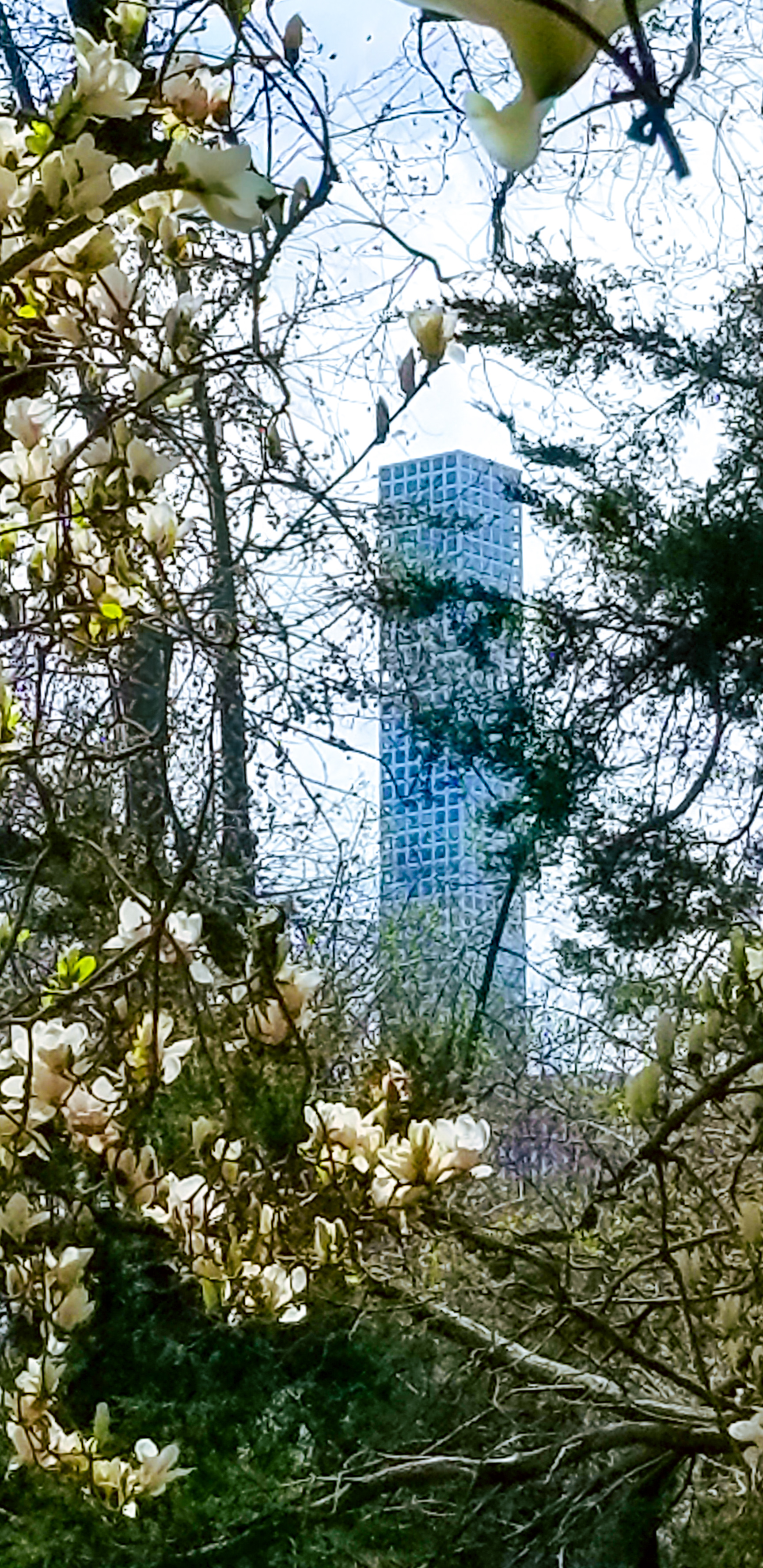 Central Park Private Walking Tour