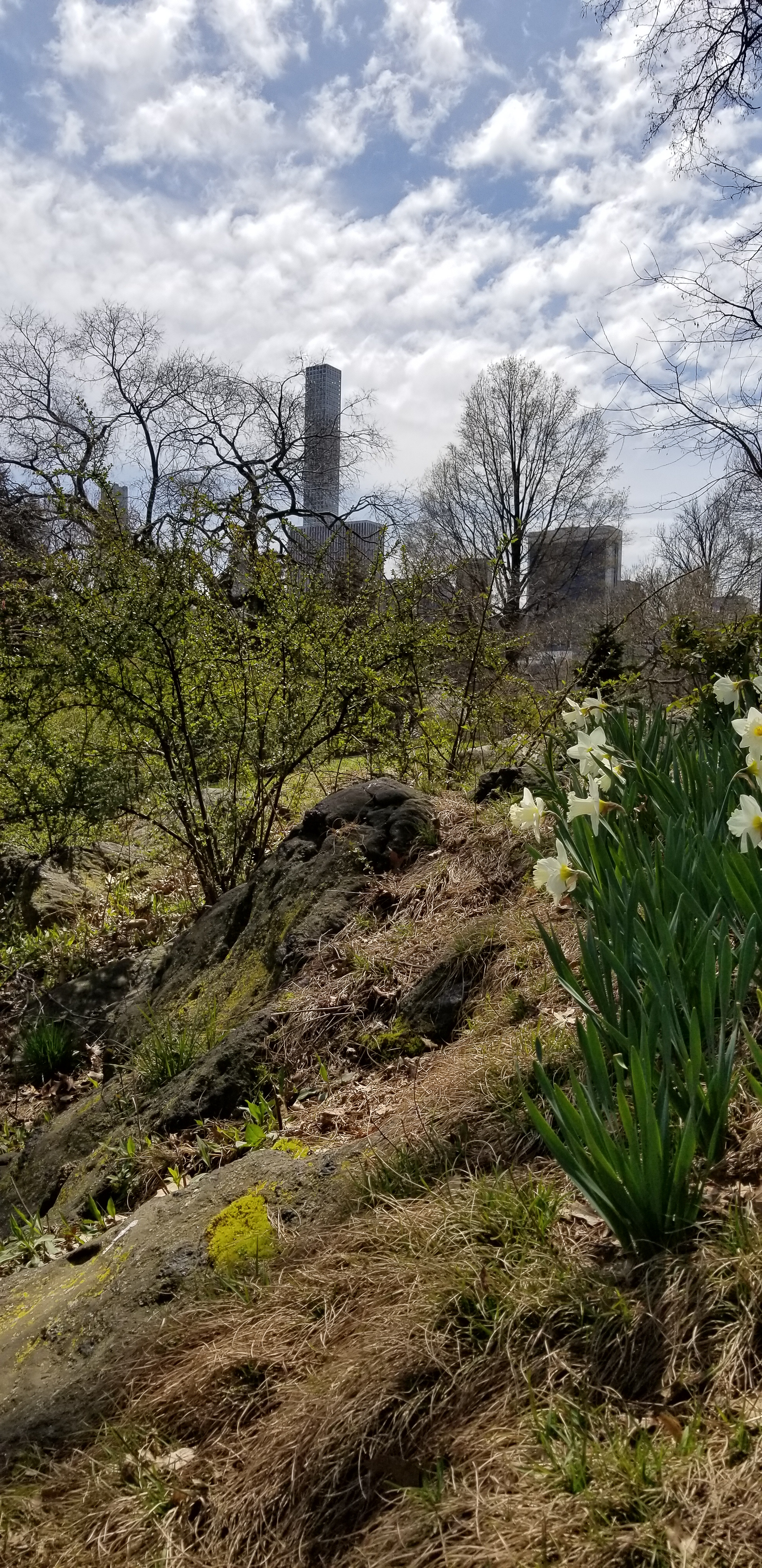 Central Park Private Walking Tour