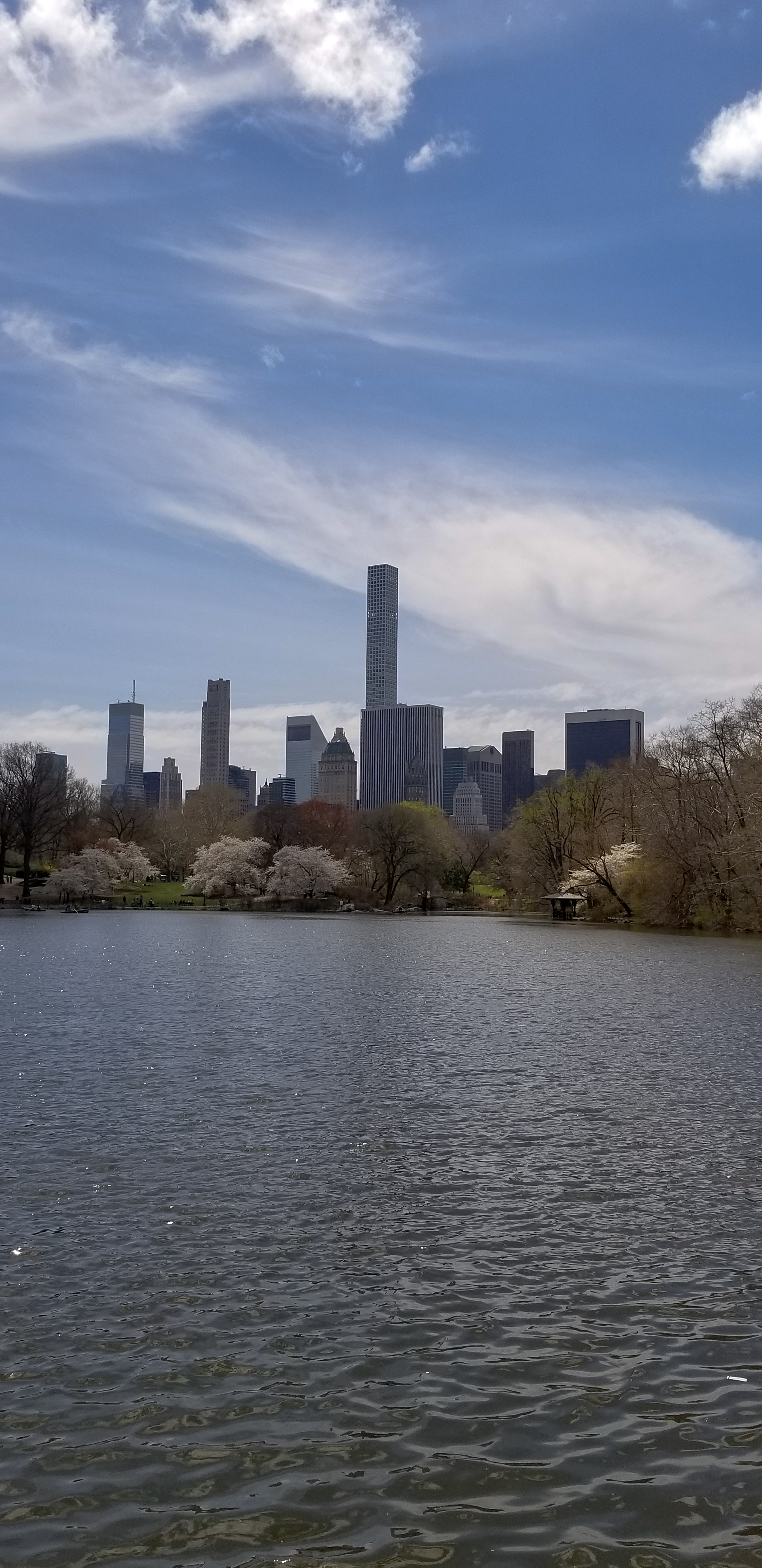 Central Park Private Walking Tour