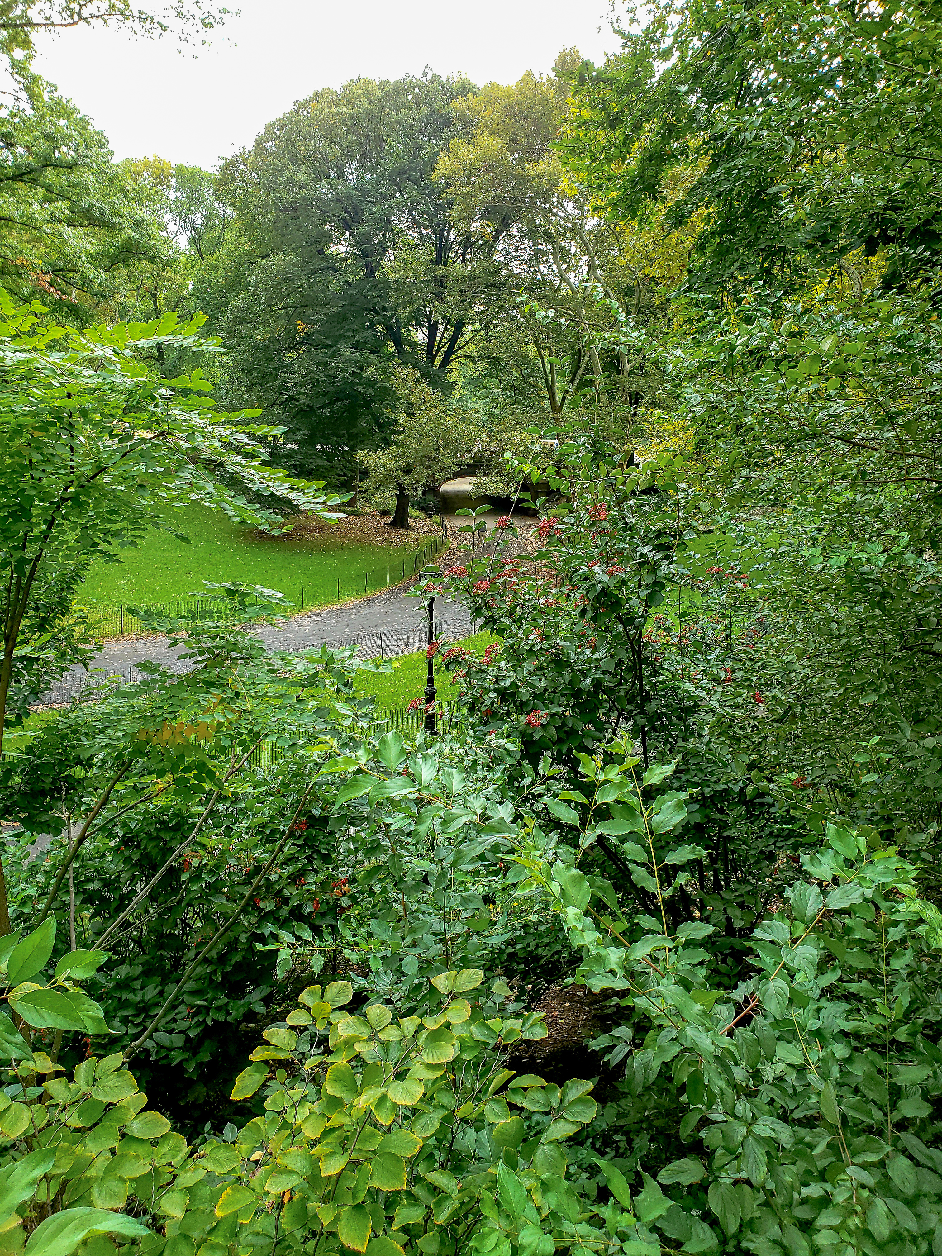 Central Park Private Walking Tour