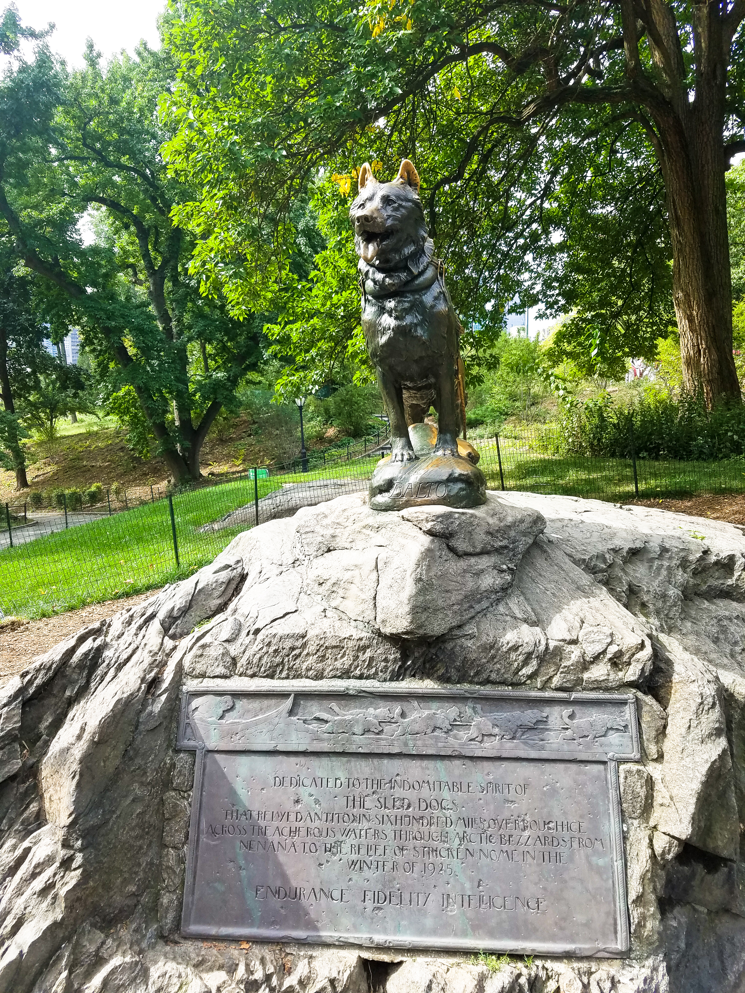 Central Park Private Walking Tour