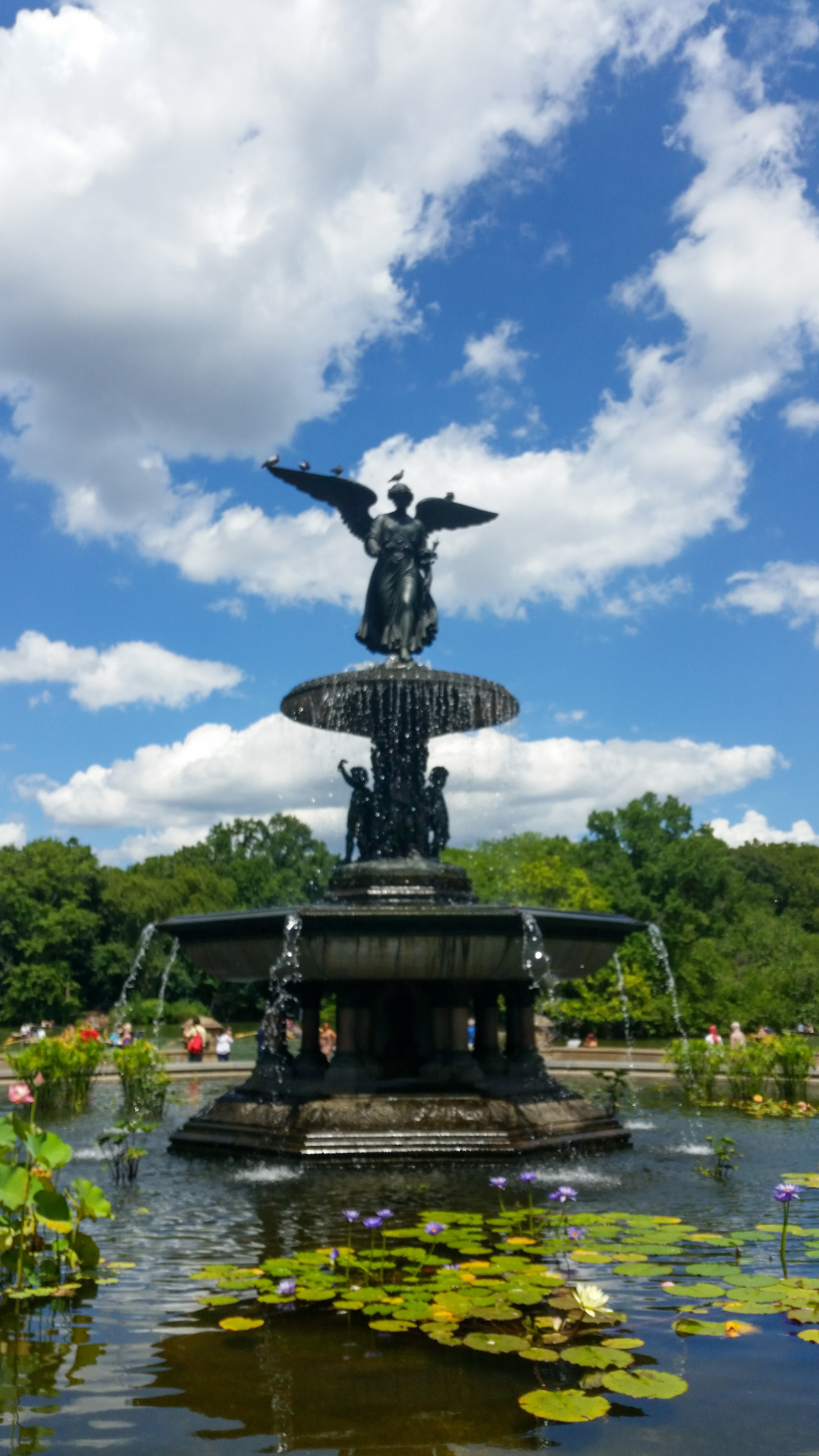Central Park Private Walking Tour