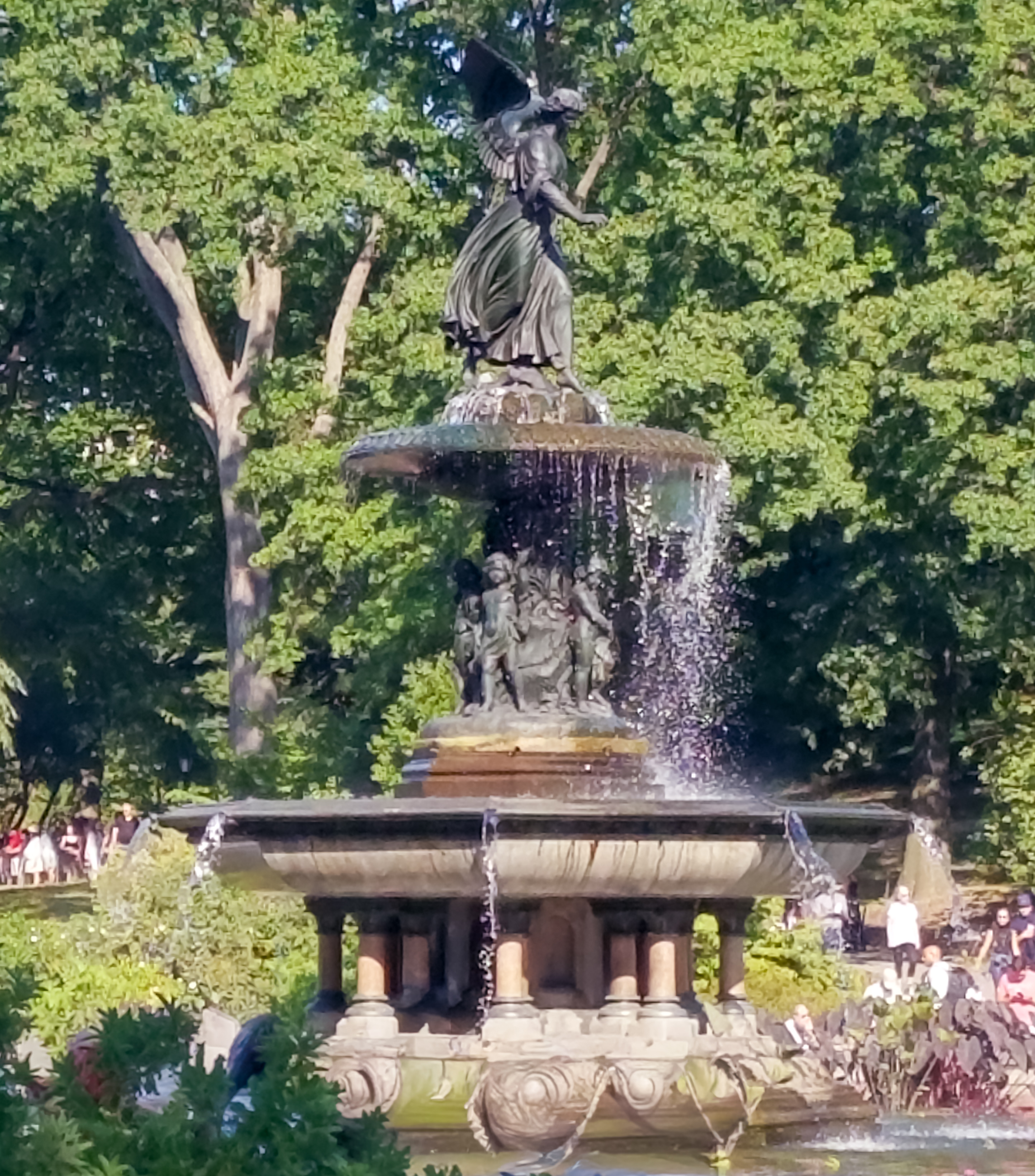 Central Park Private Walking Tour