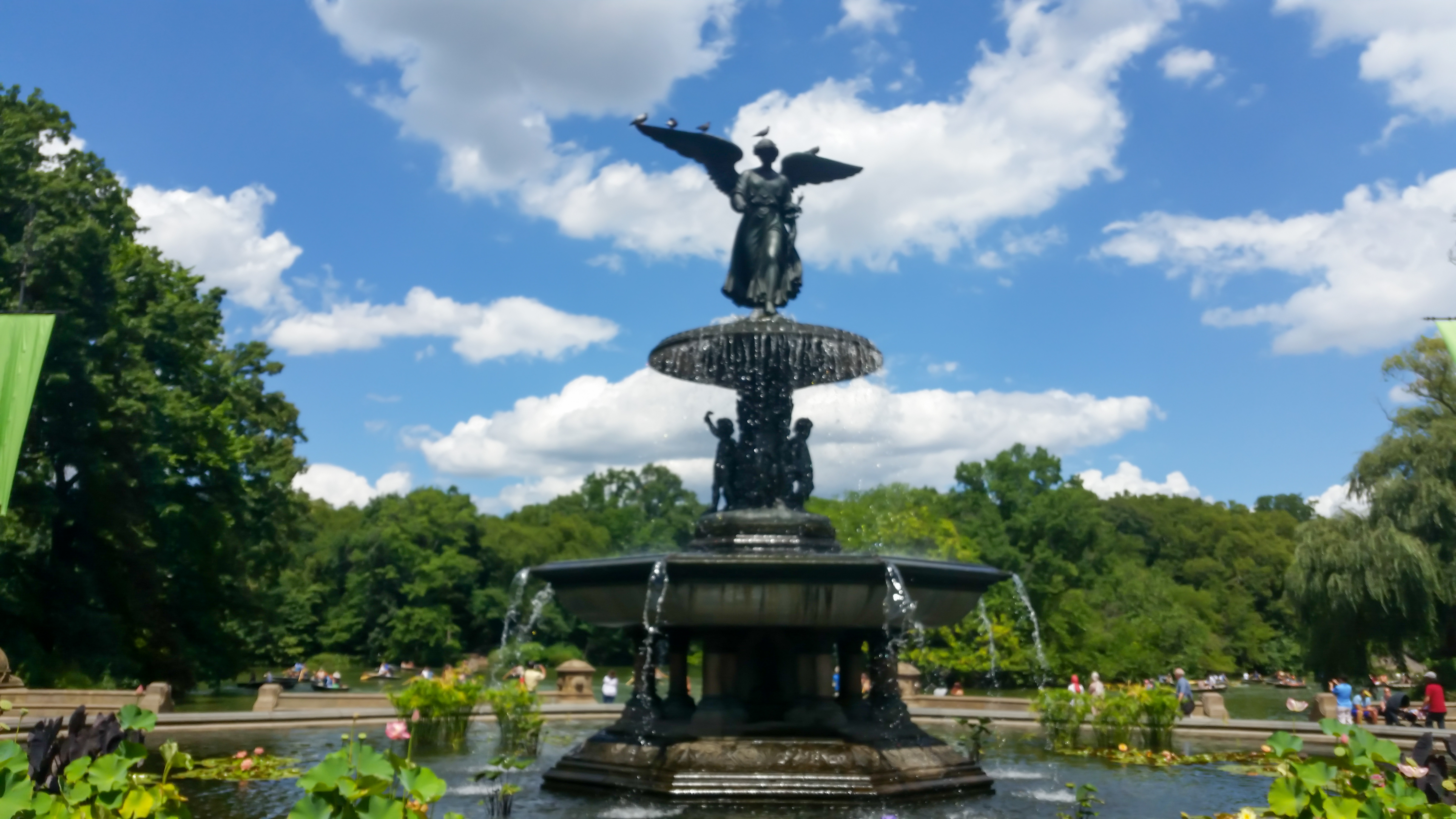Central Park Private Walking Tour