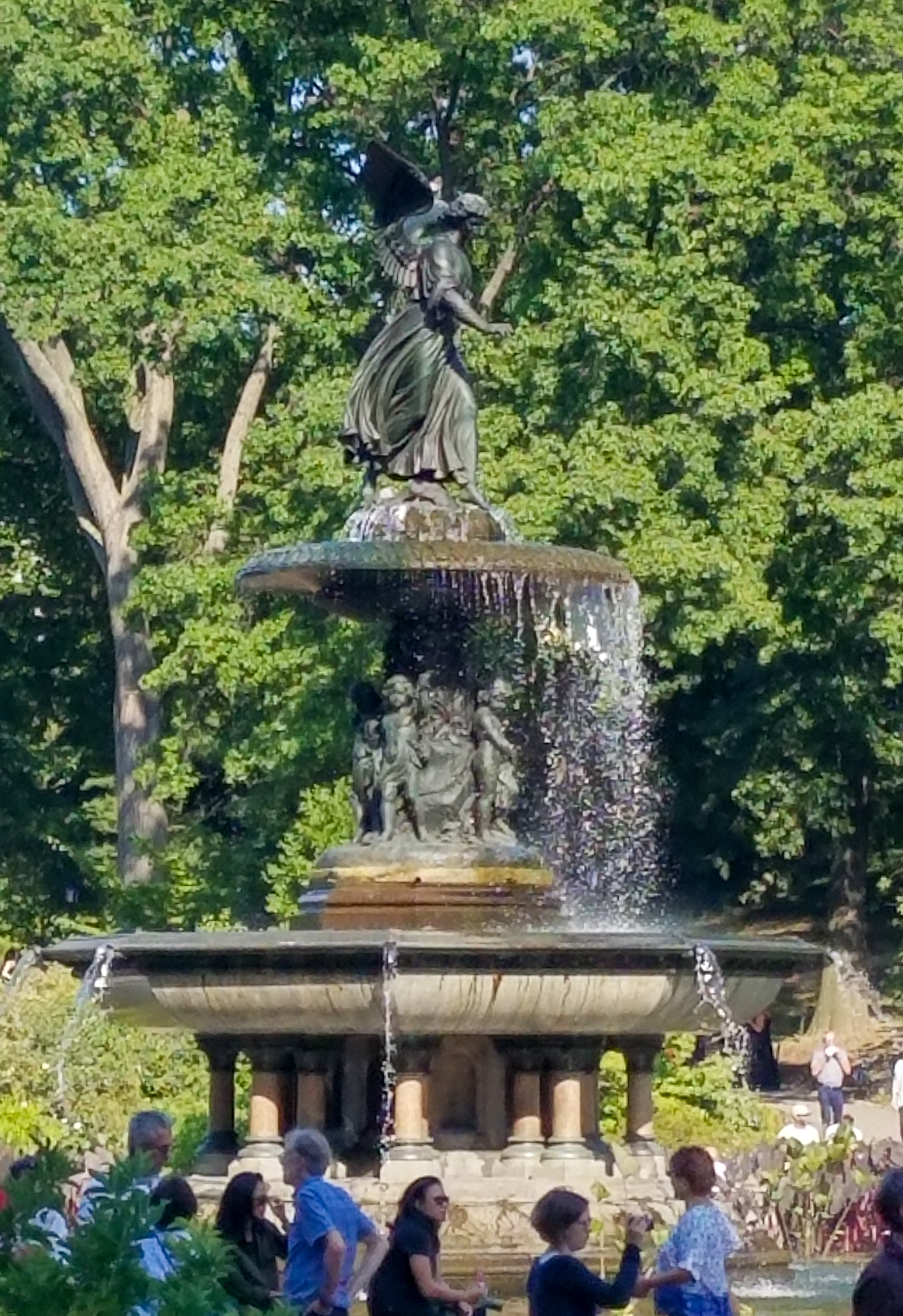 Central Park Private Walking Tour