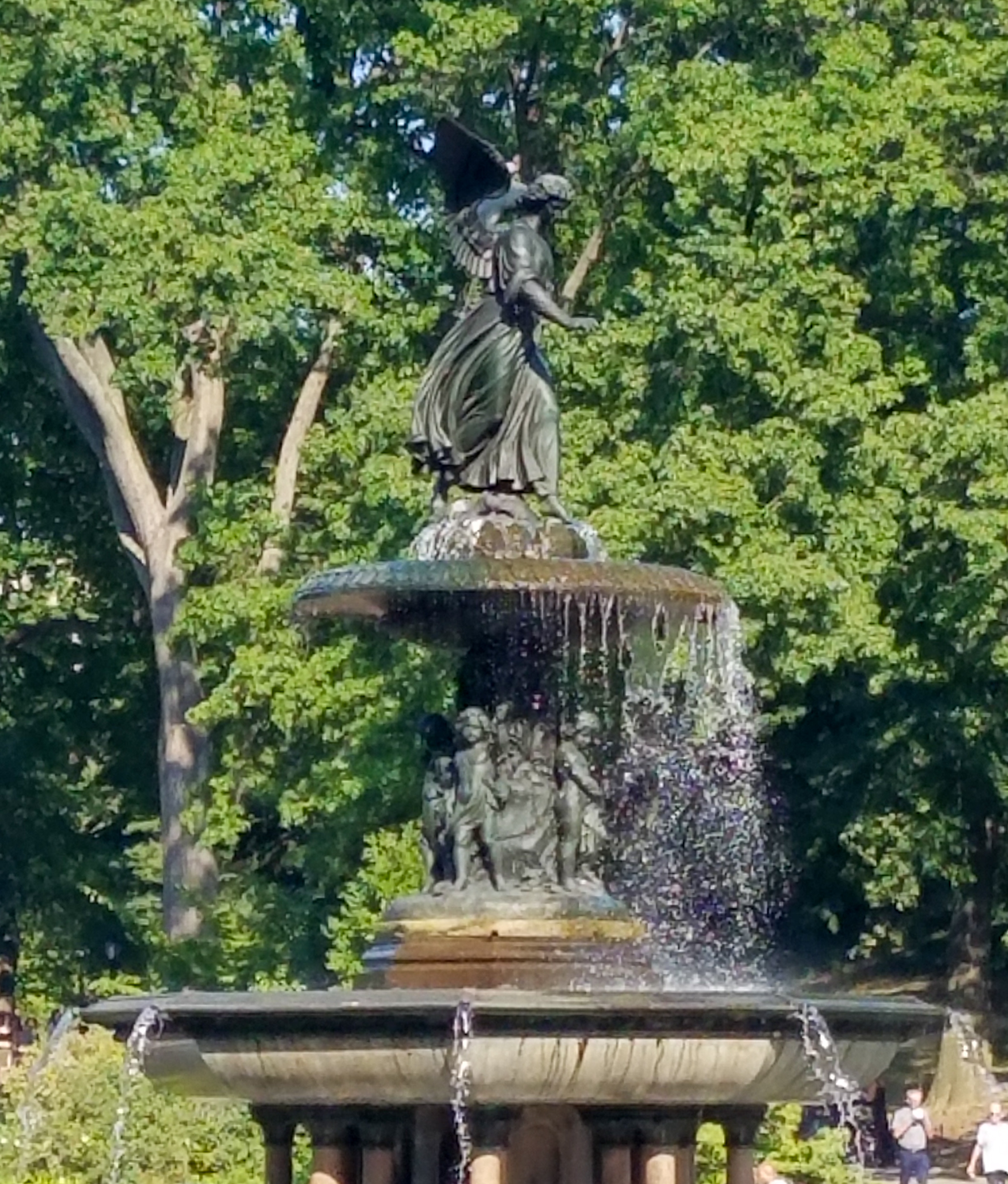 Central Park Private Walking Tour