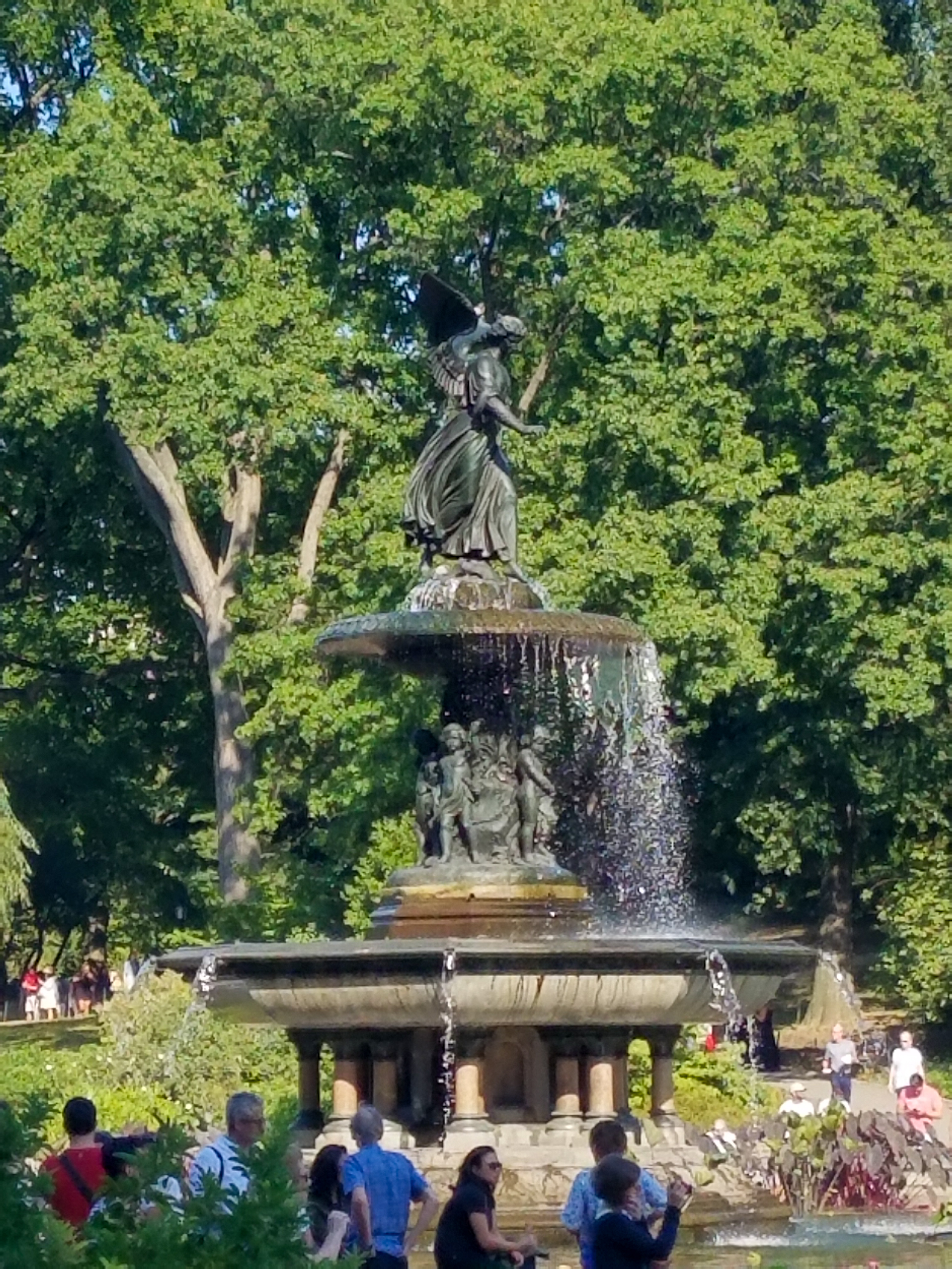Central Park Private Walking Tour