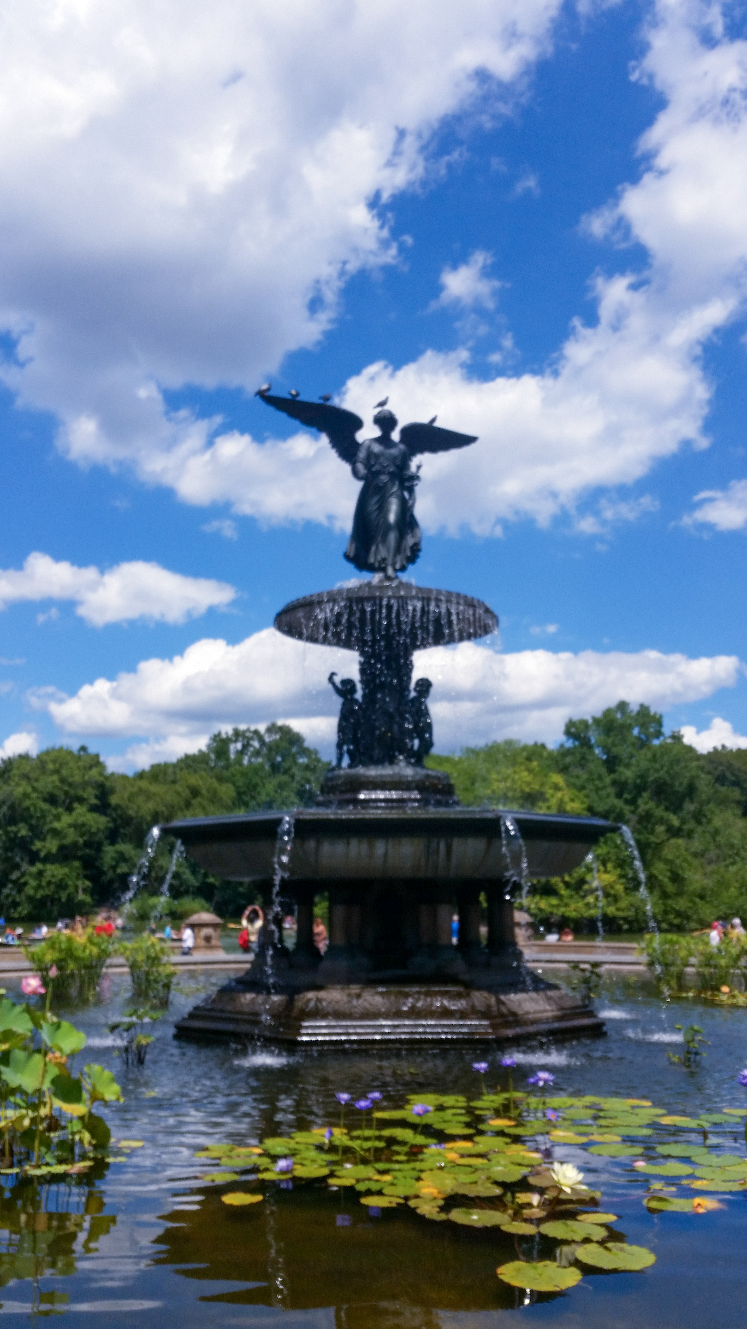 Central Park Private Walking Tour