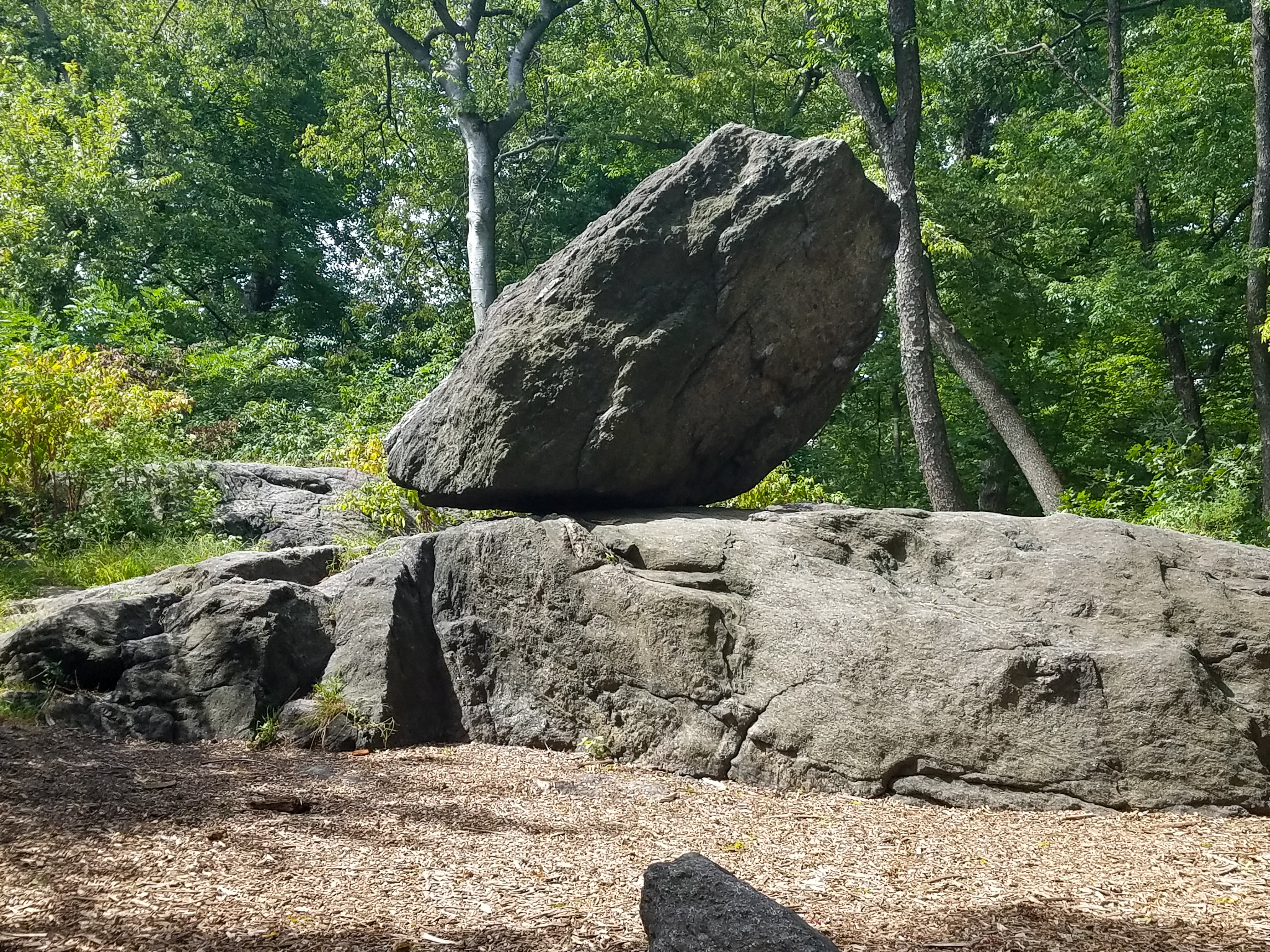 Central Park Private Walking Tour
