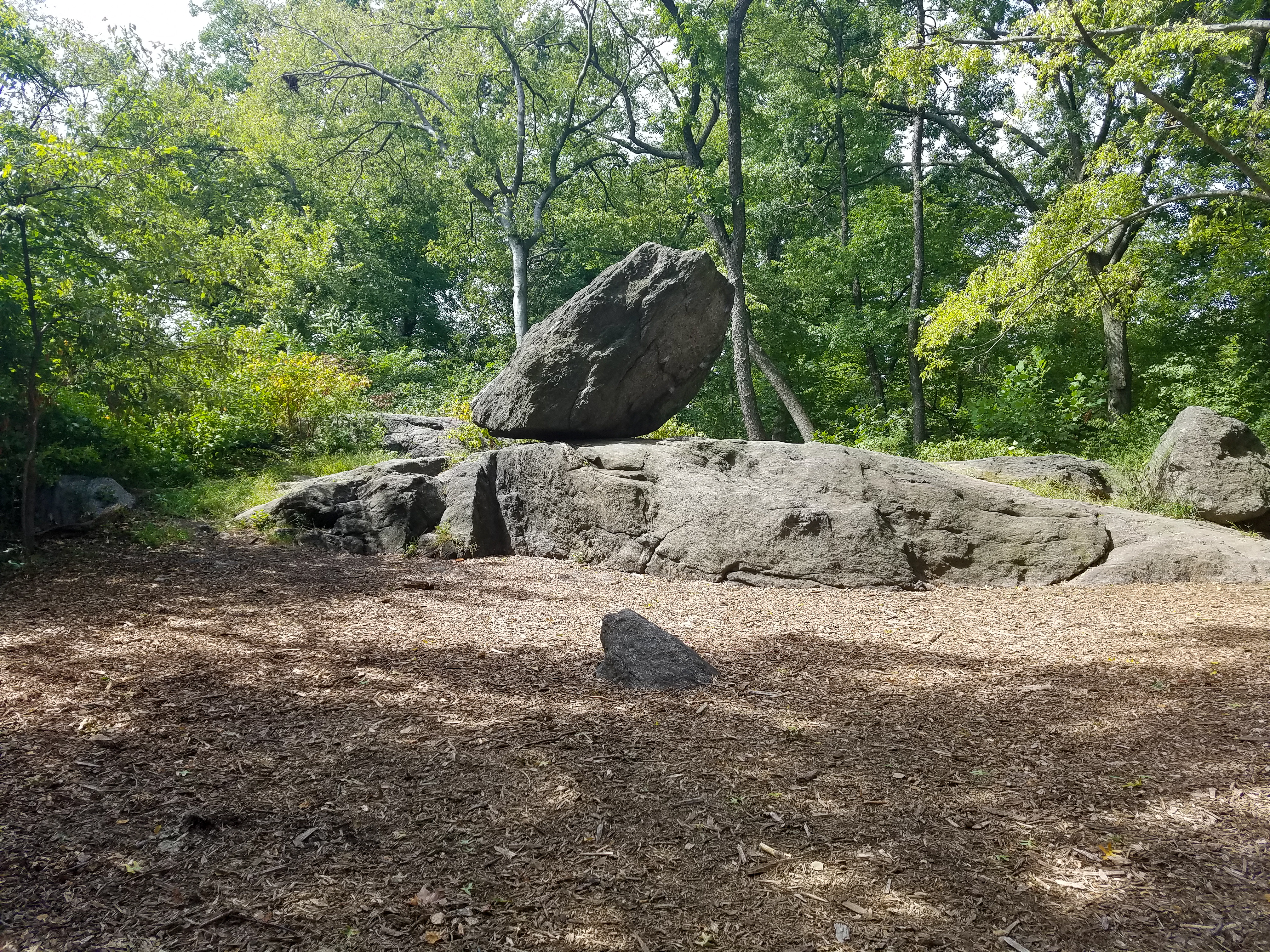 Central Park Private Walking Tour