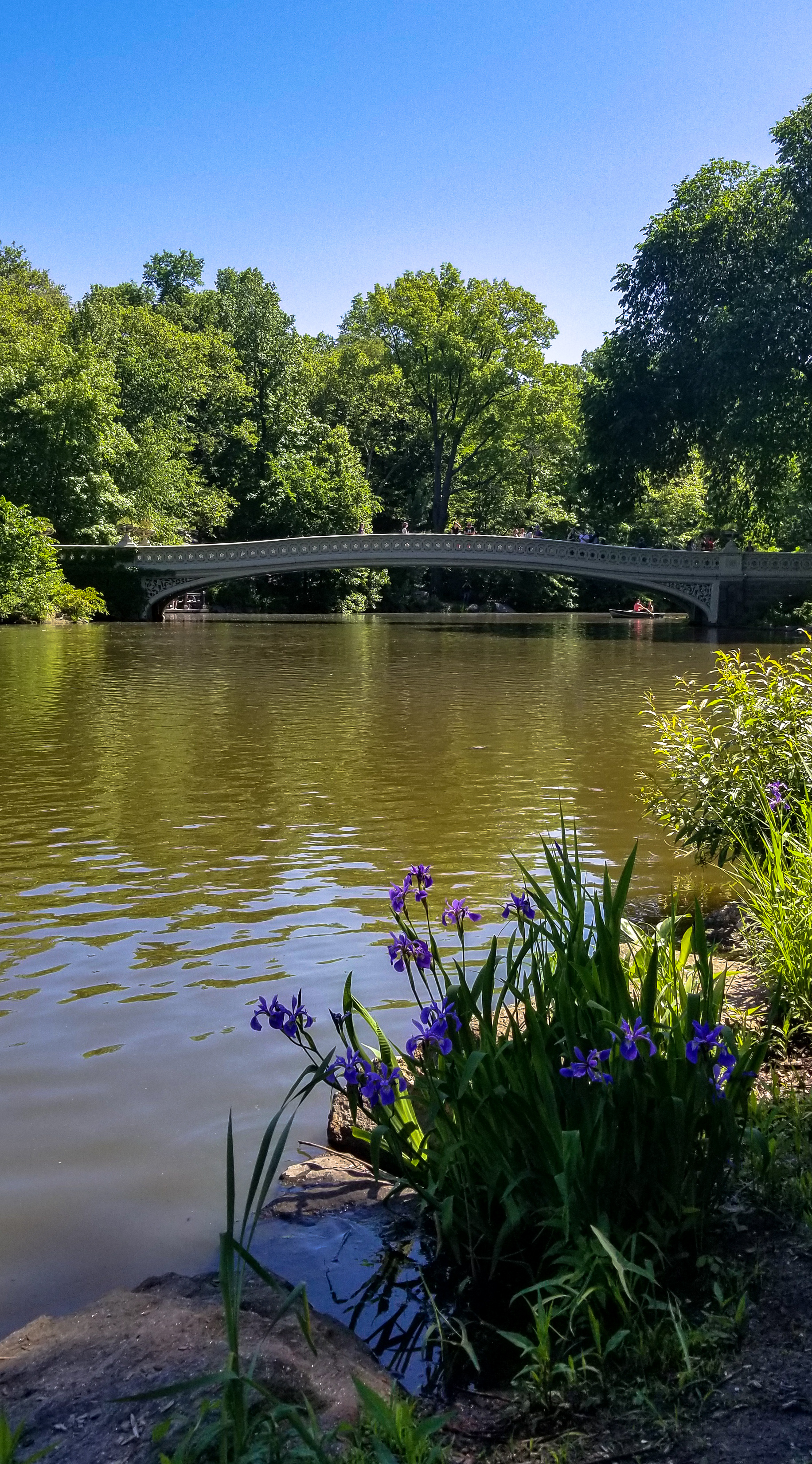 Central Park Private Walking Tour