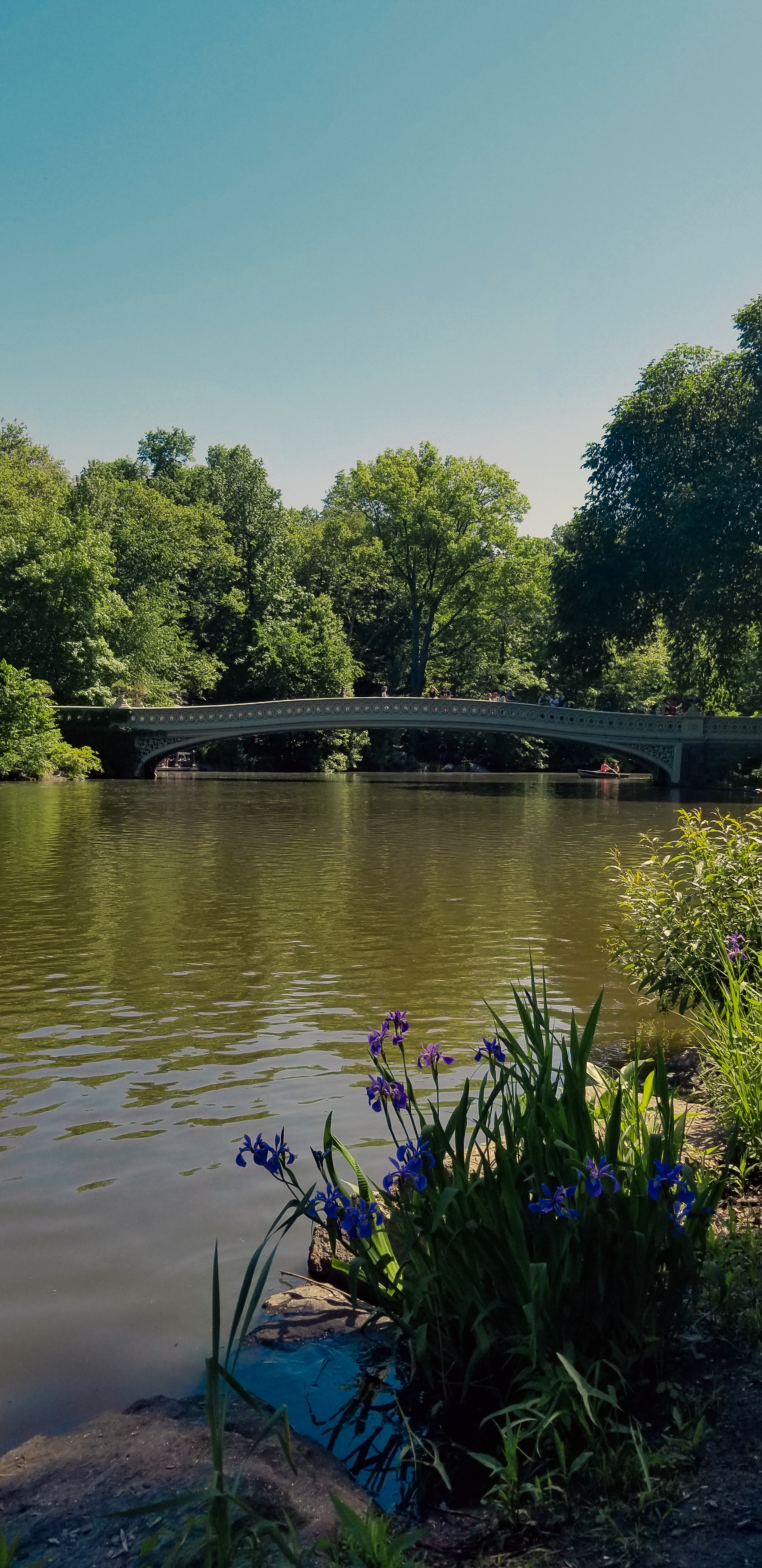 Central Park Private Walking Tour