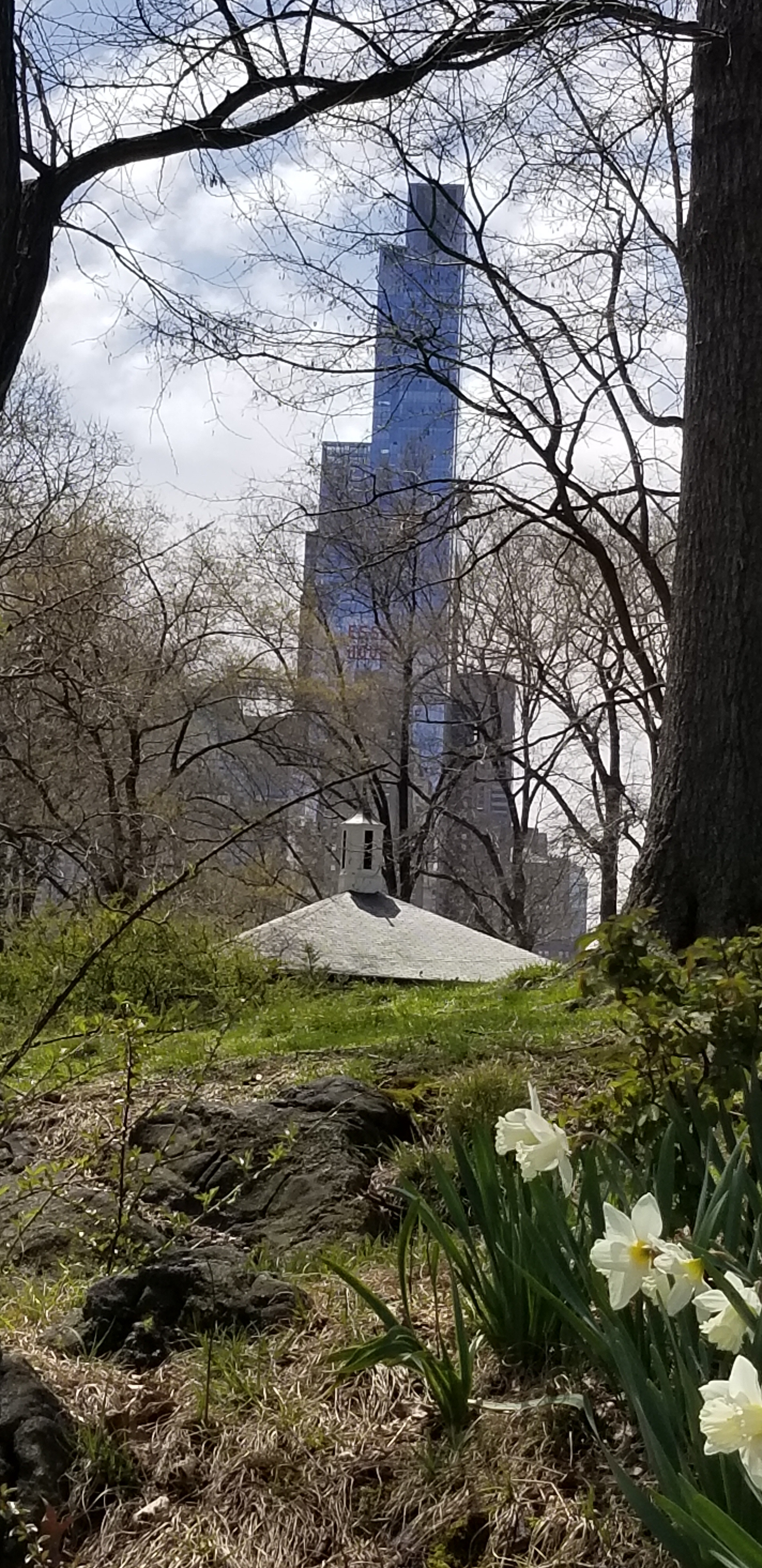 Central Park Private Walking Tour