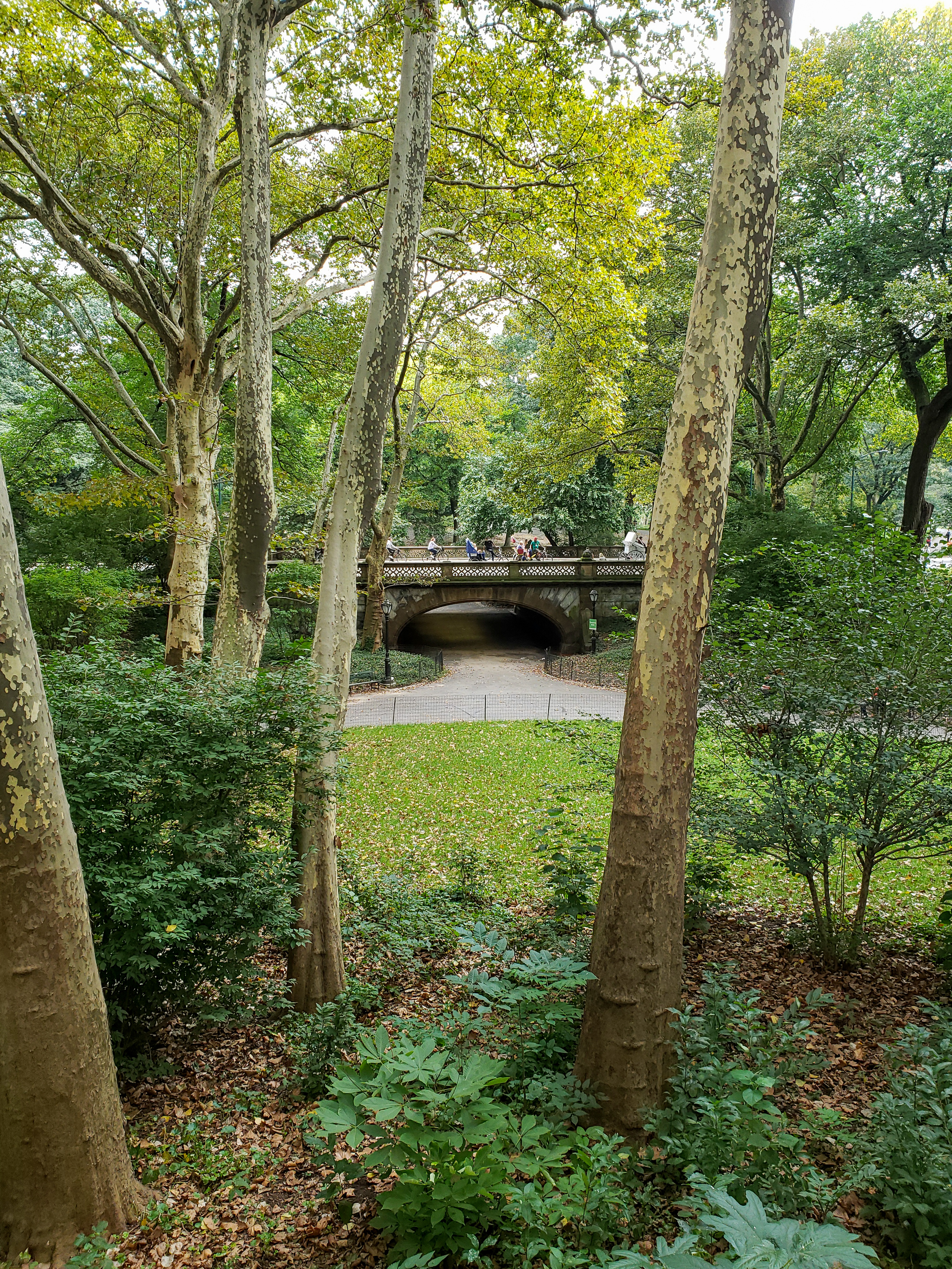 Central Park Private Walking Tour