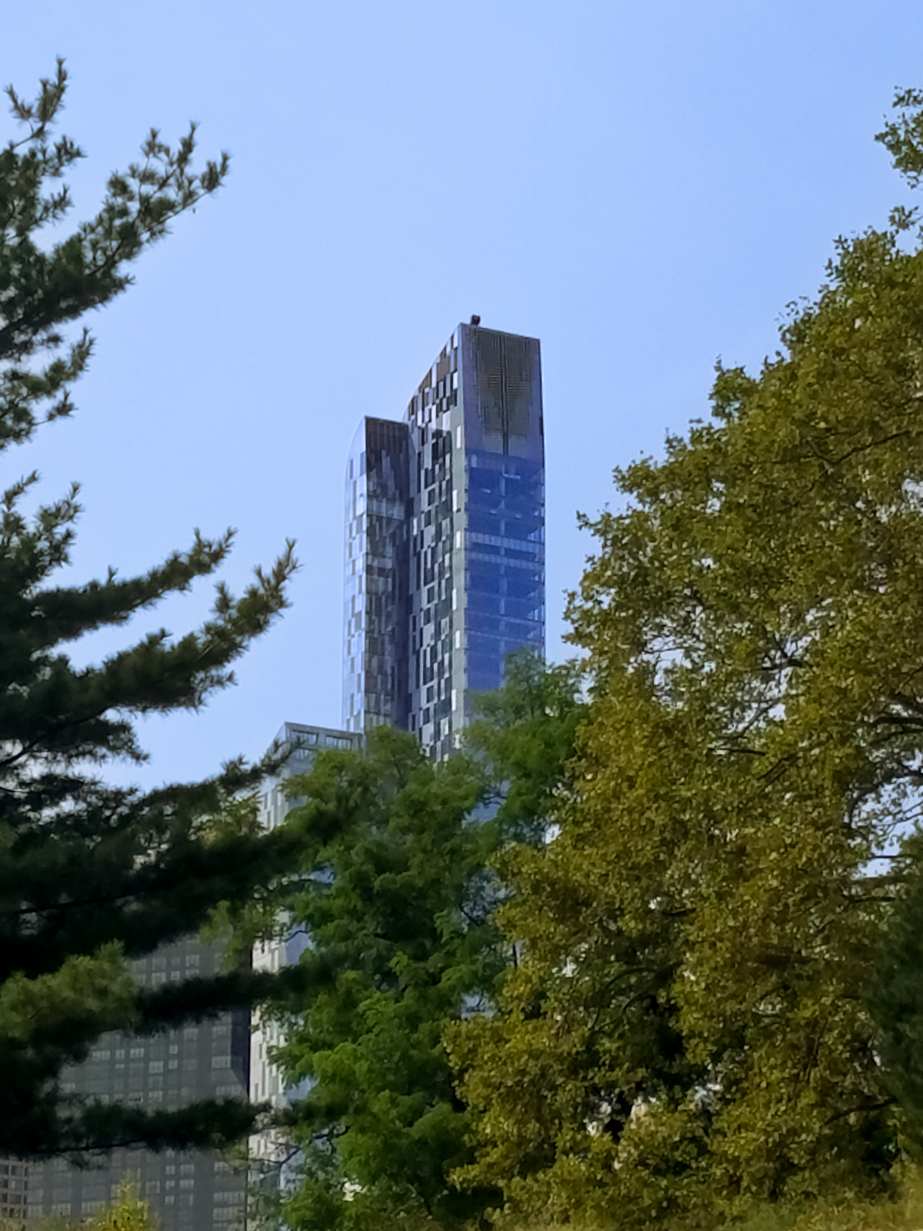 Central Park Private Walking Tour