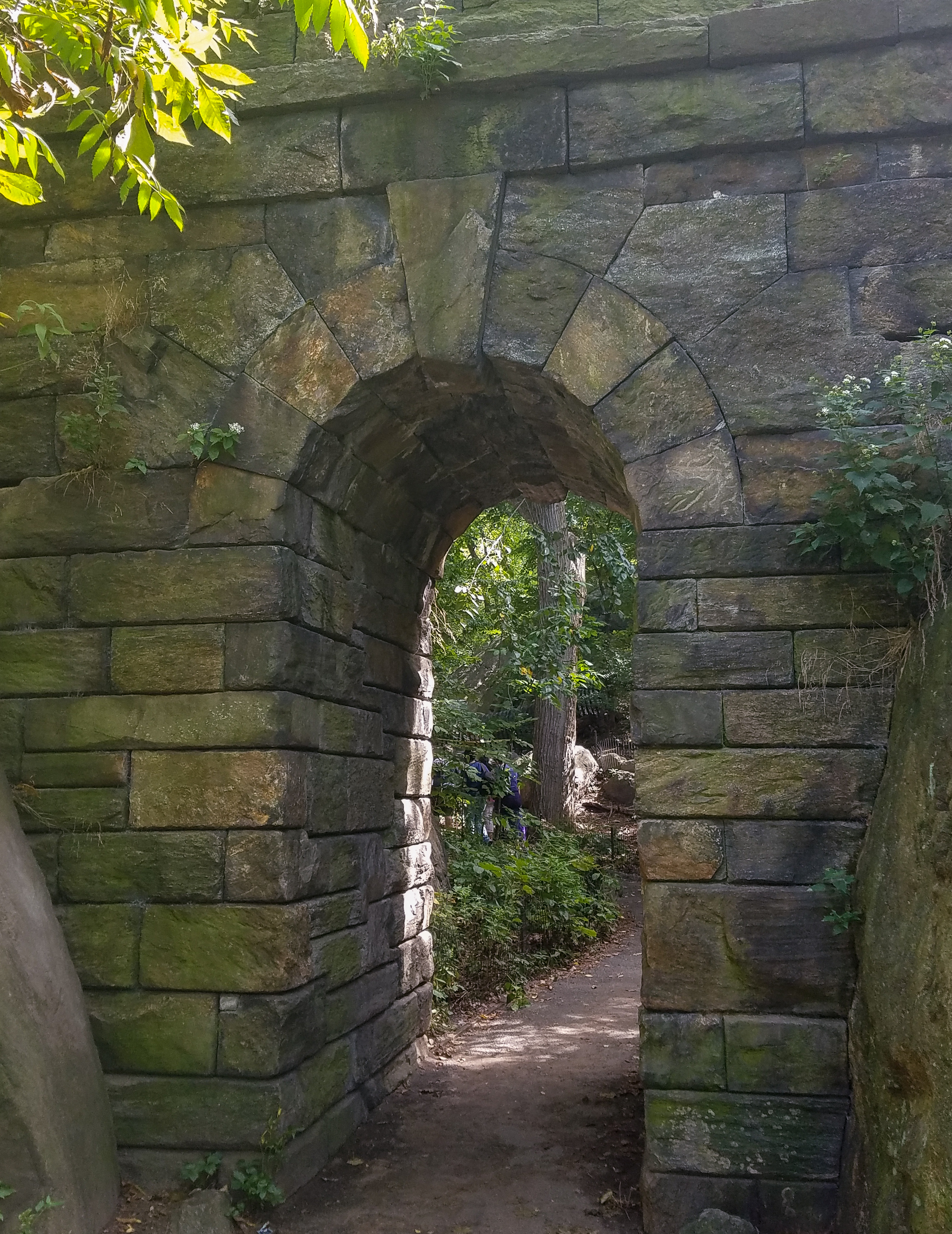 Central Park Private Walking Tour