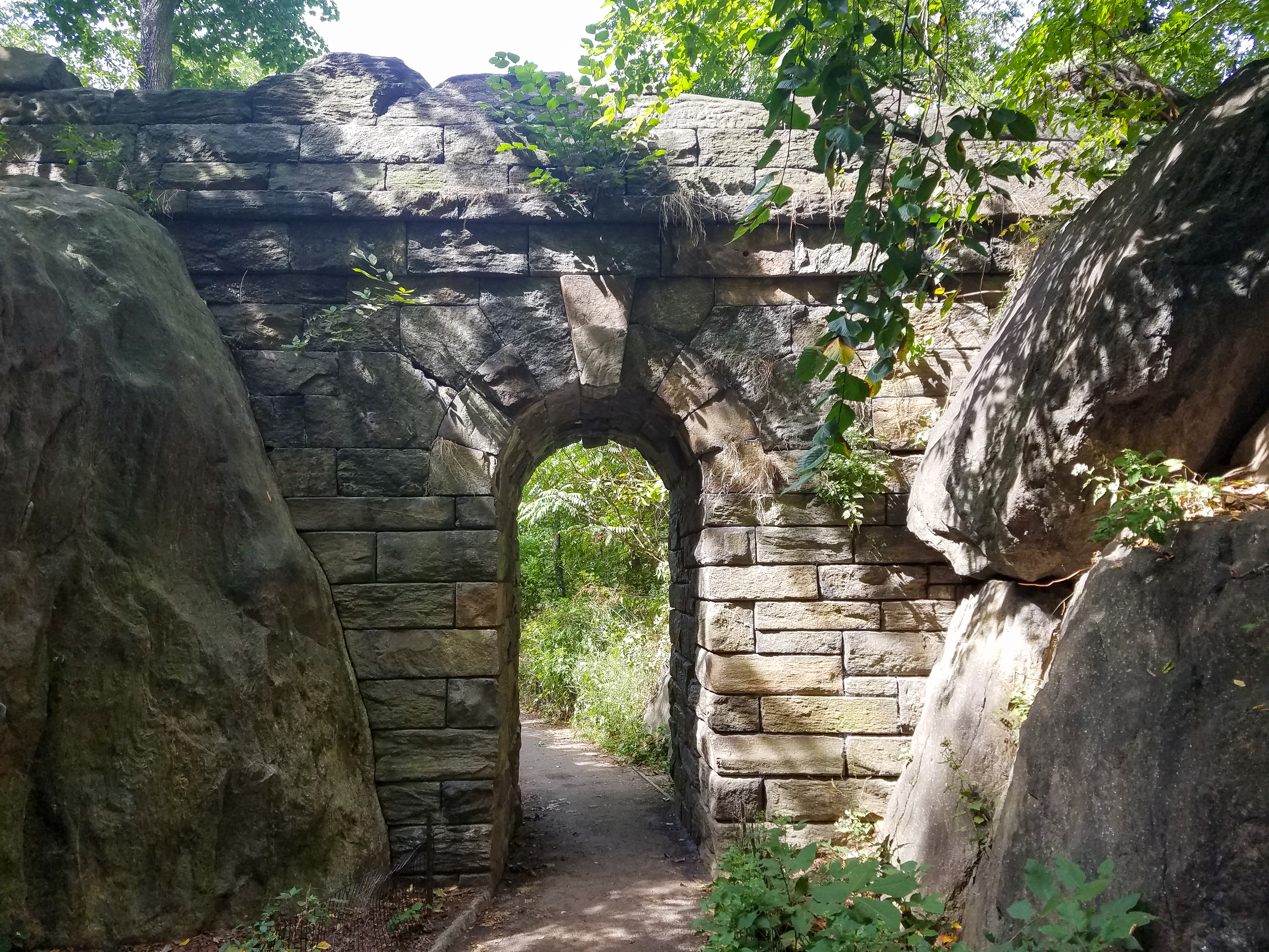 Central Park Private Walking Tour