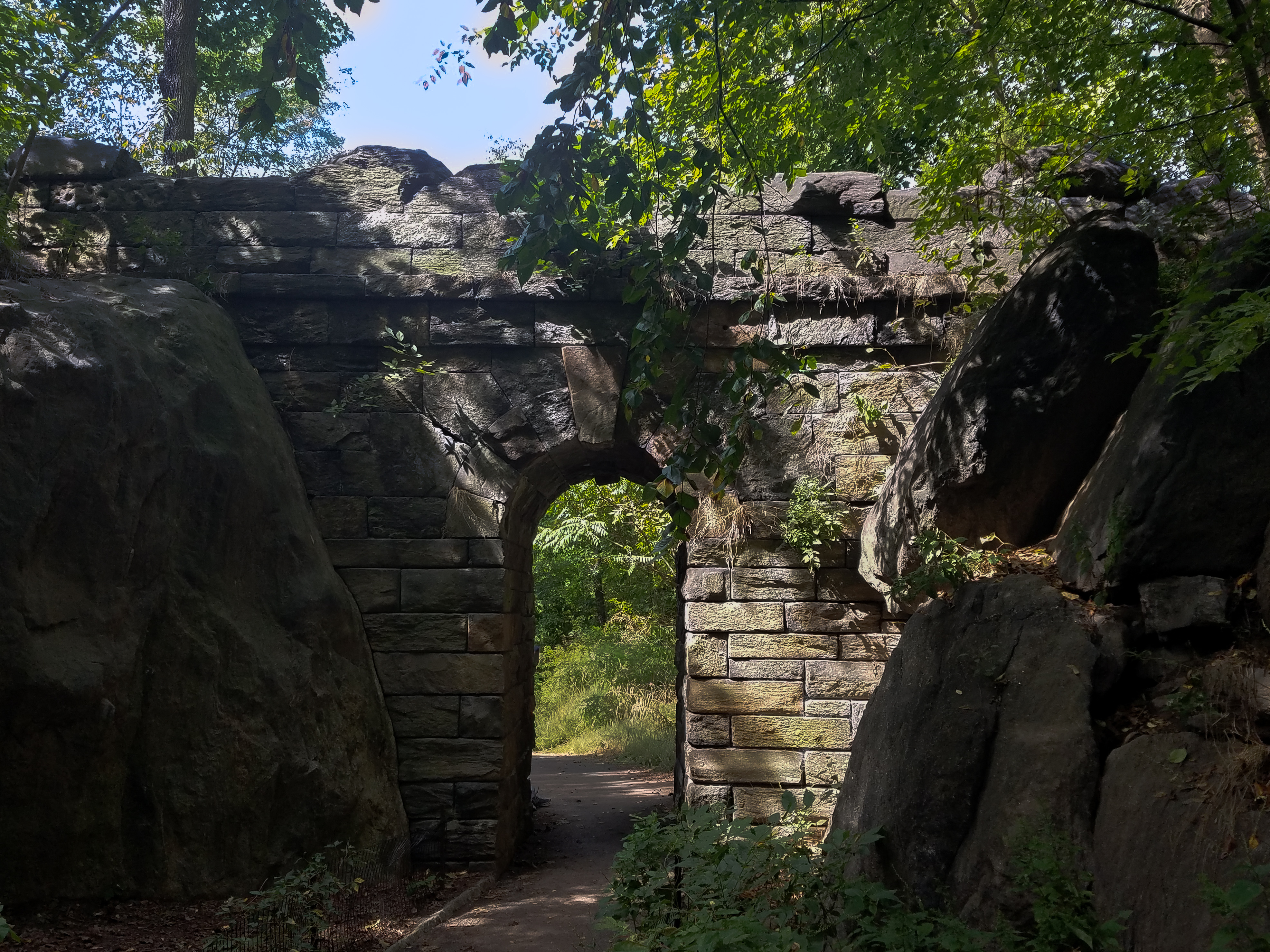 Central Park Private Walking Tour