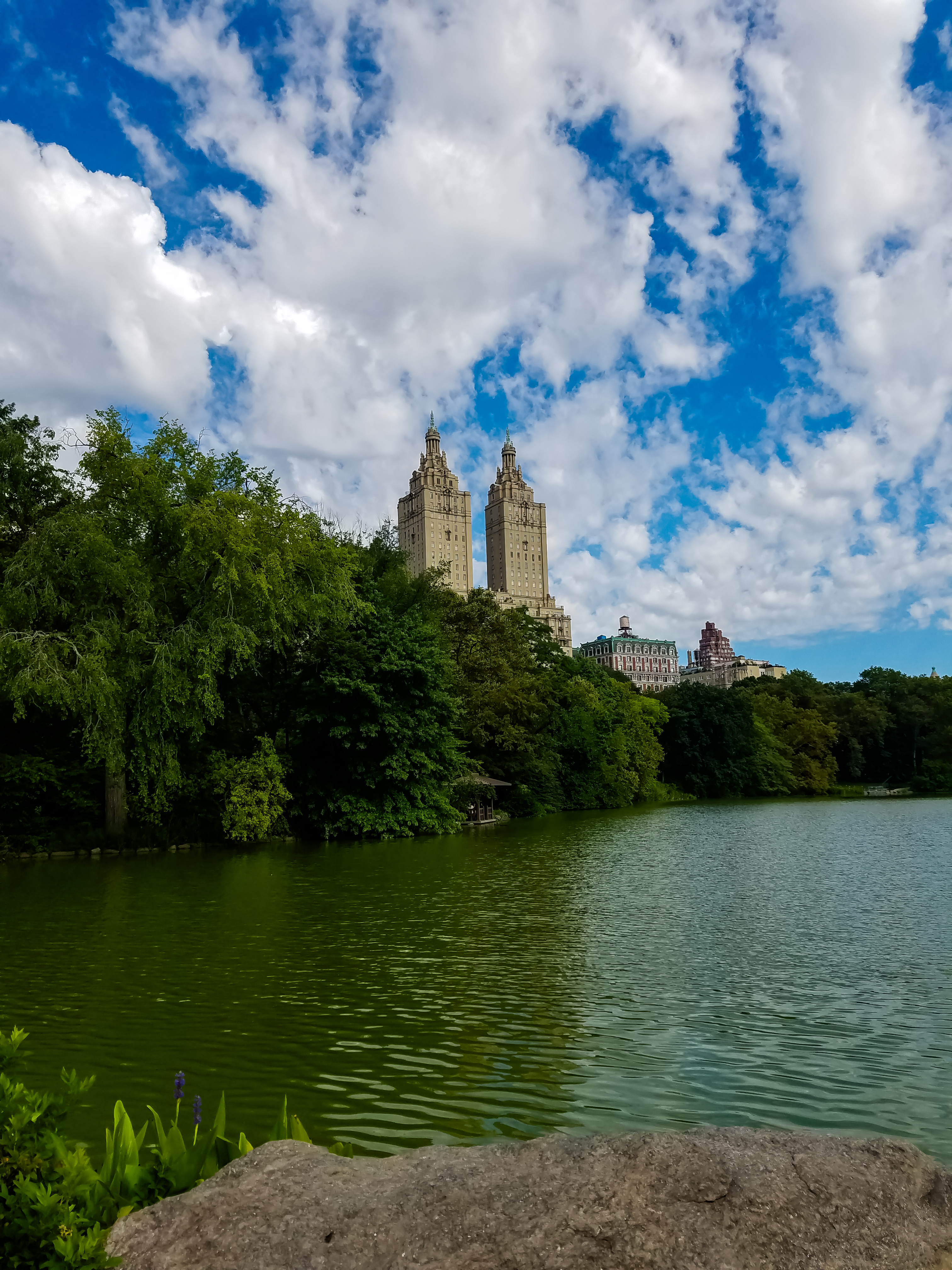 Central Park Private Walking Tour