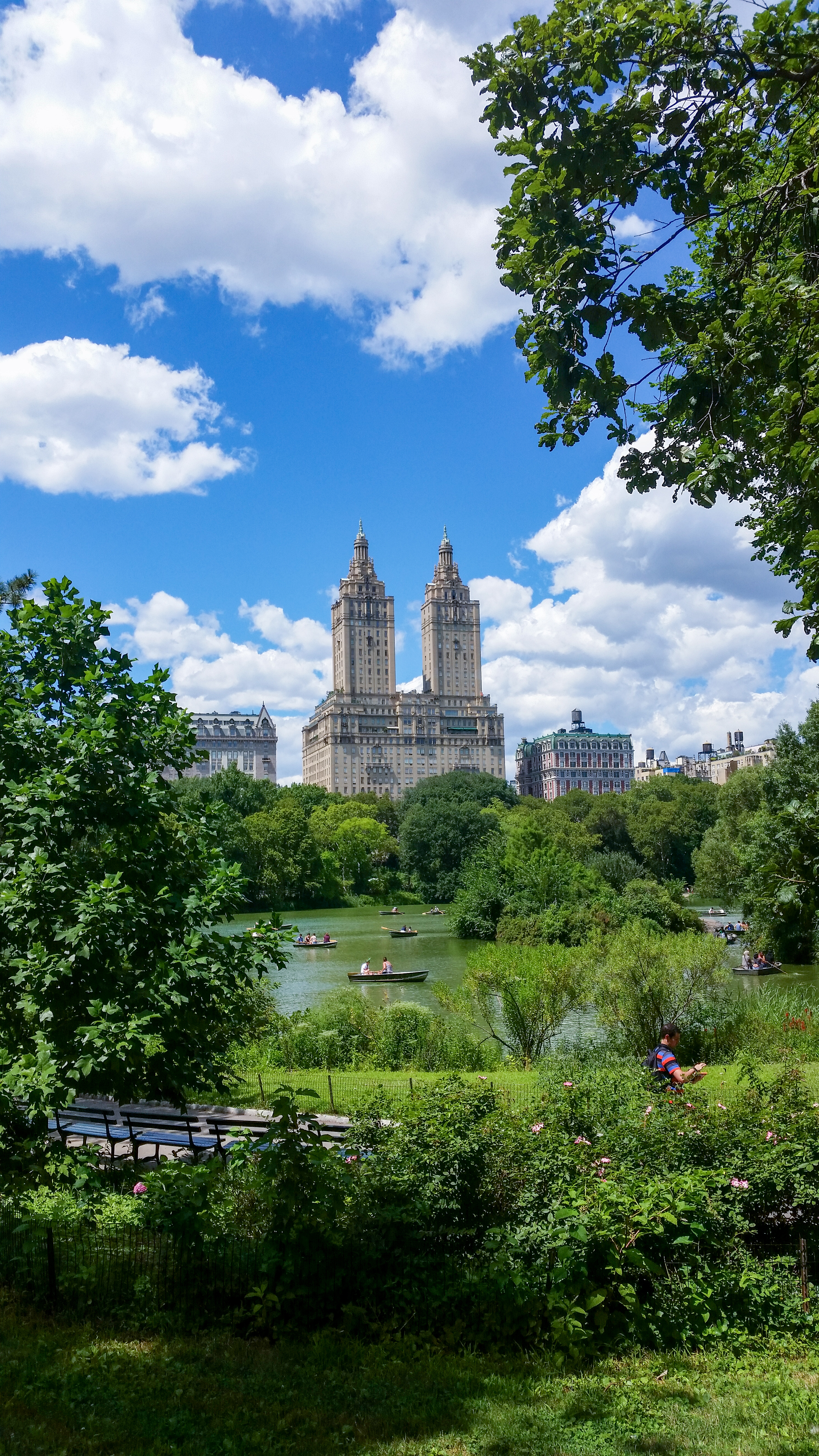 Central Park Private Walking Tour