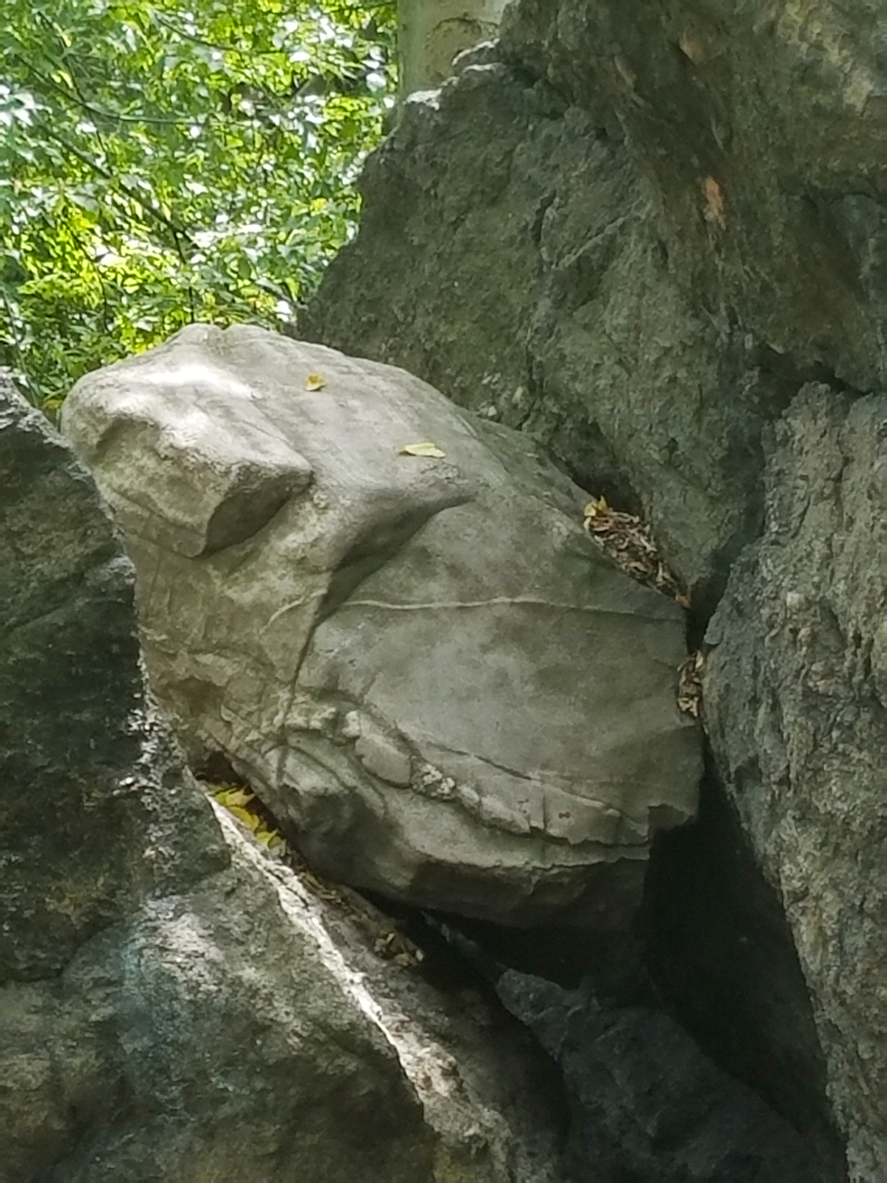Central Park Private Walking Tour