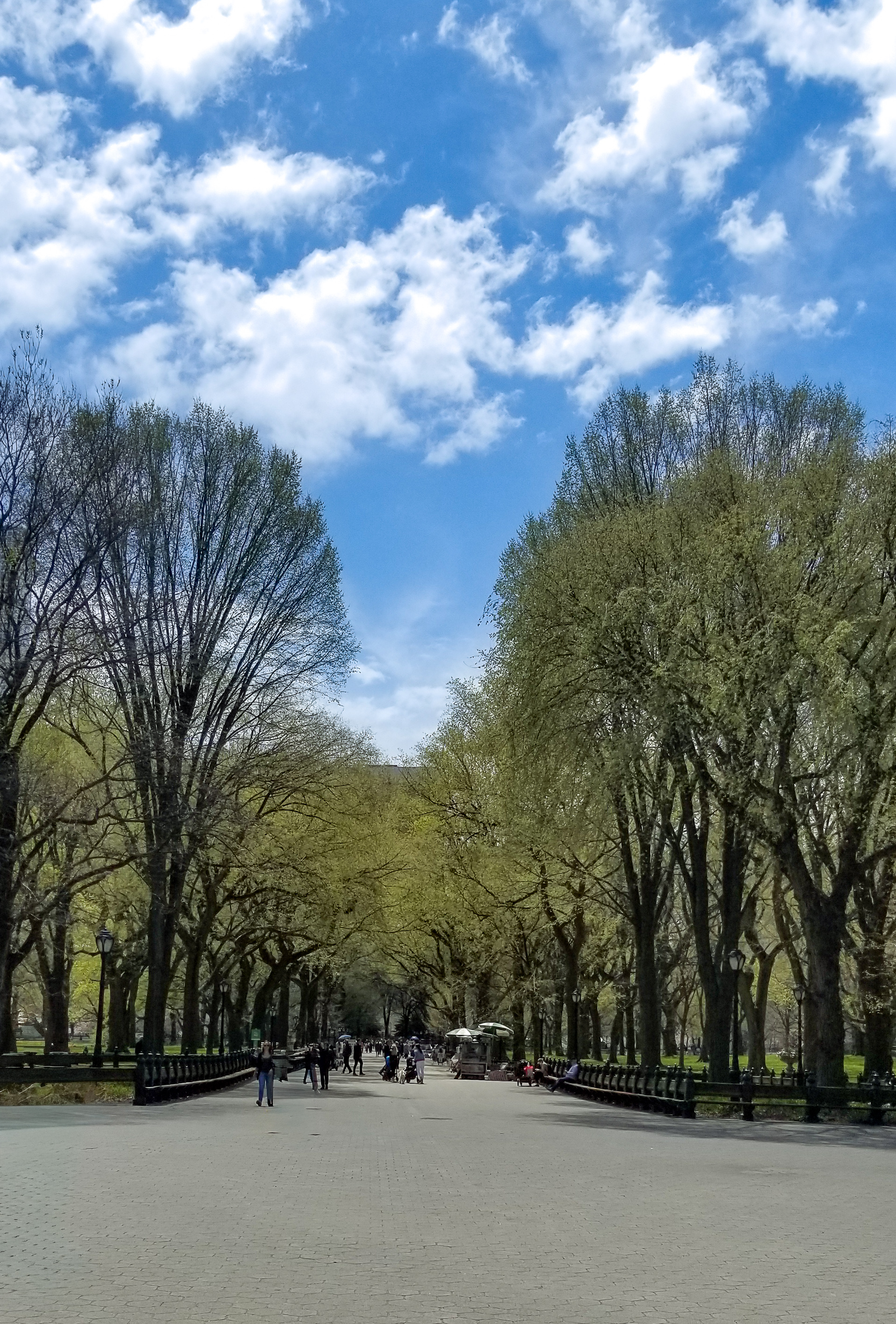 Central Park Private Walking Tour