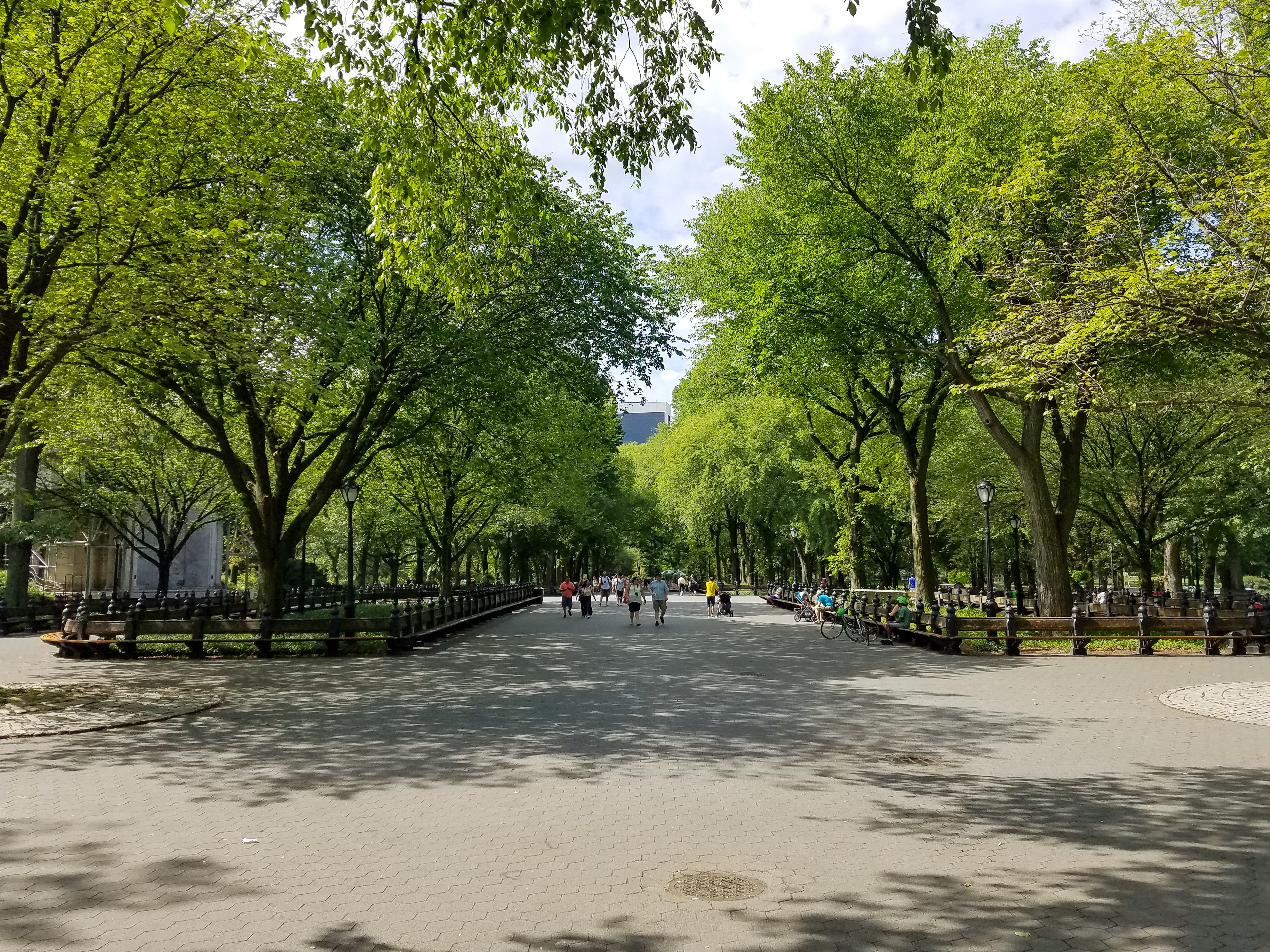 Central Park Private Walking Tour