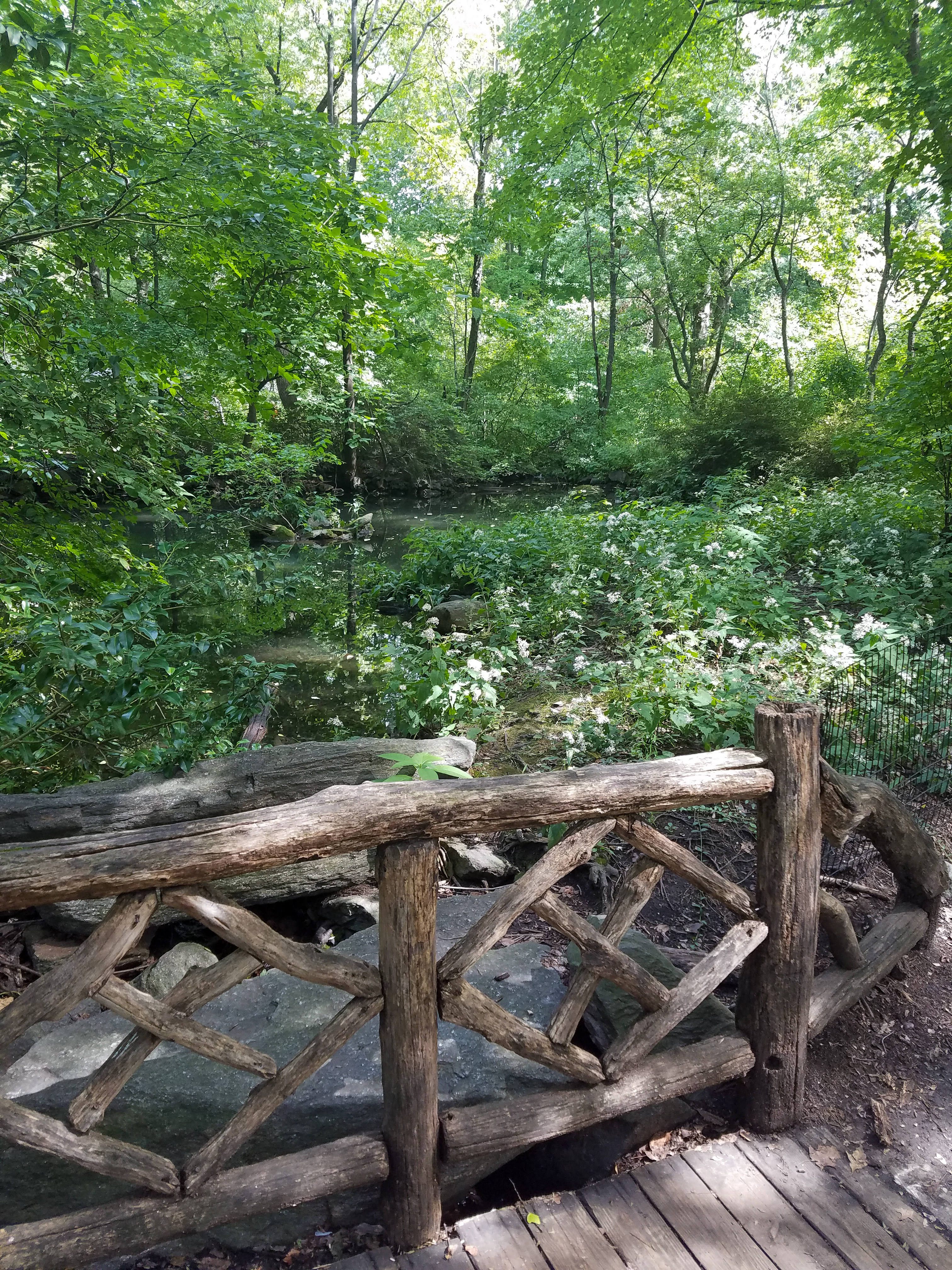 Central Park Private Walking Tour