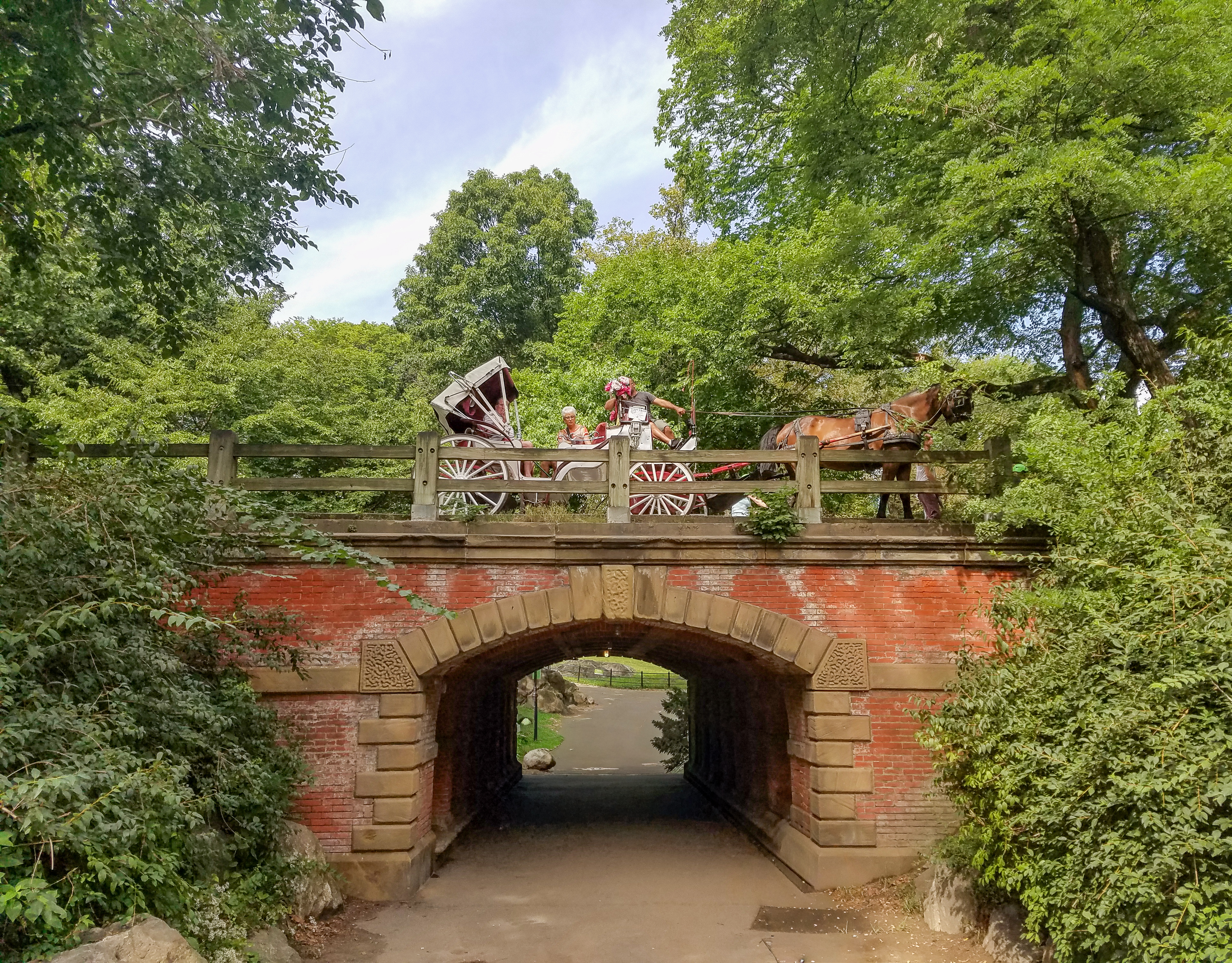 Central Park Private Walking Tour