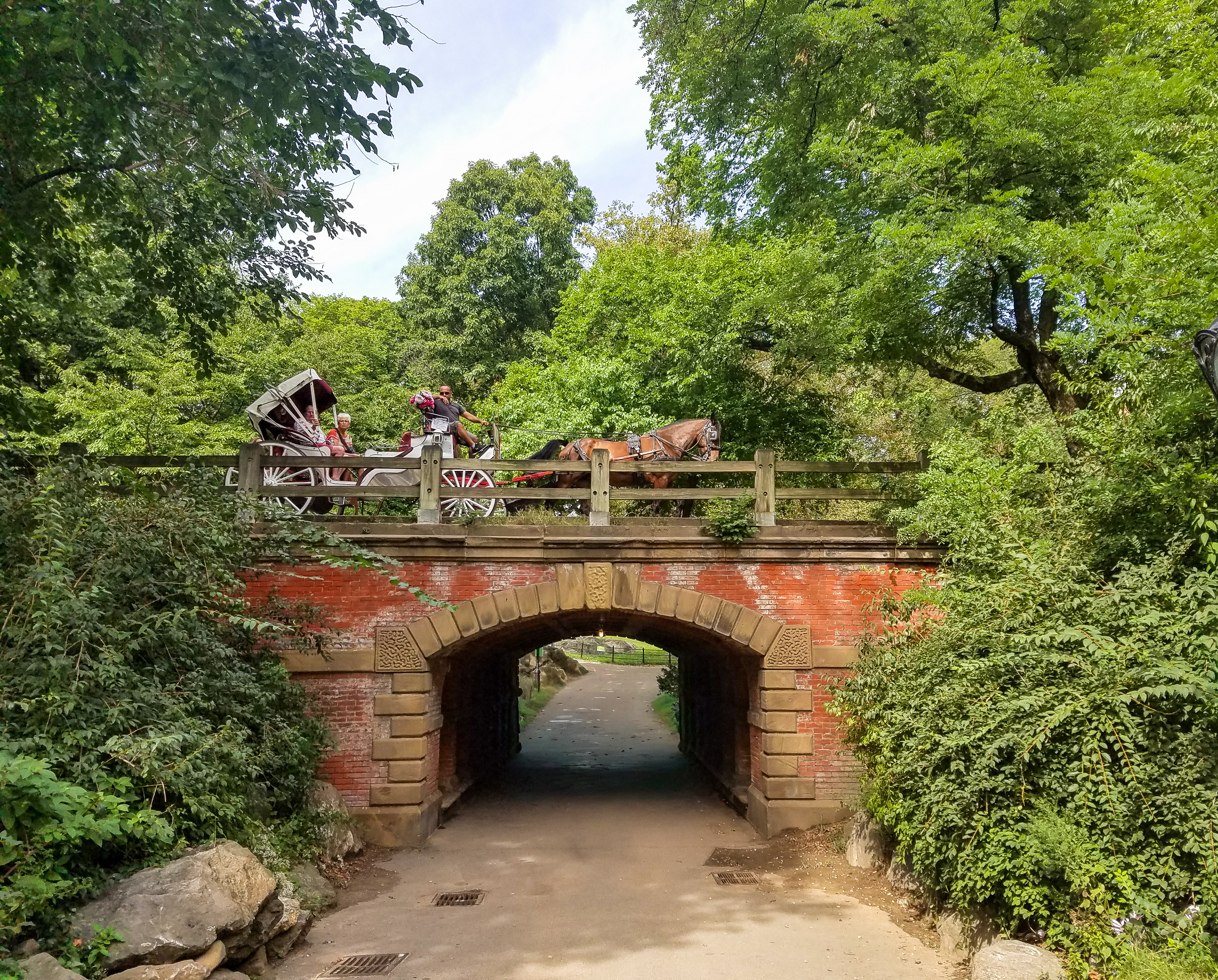 Central Park Private Walking Tour