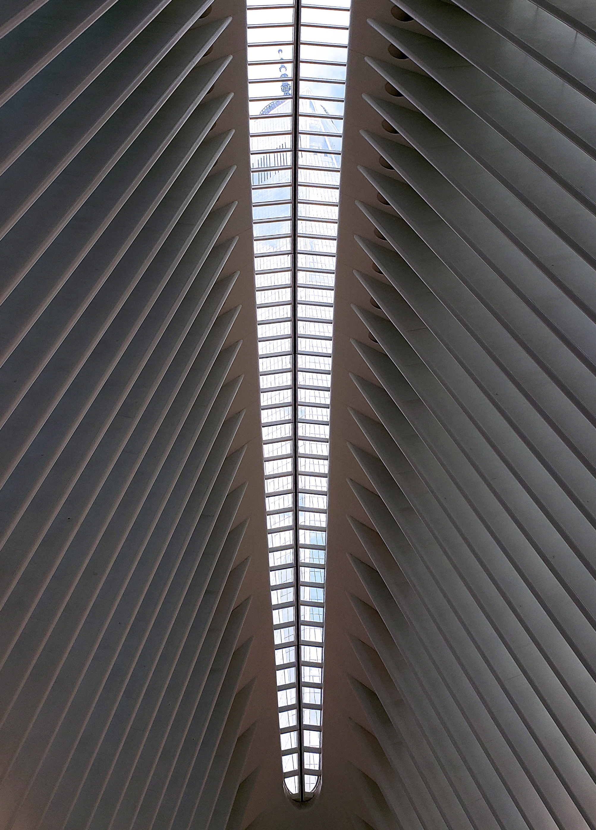 9/11 Memorial and Downtown Manhattan Private Walking Tour