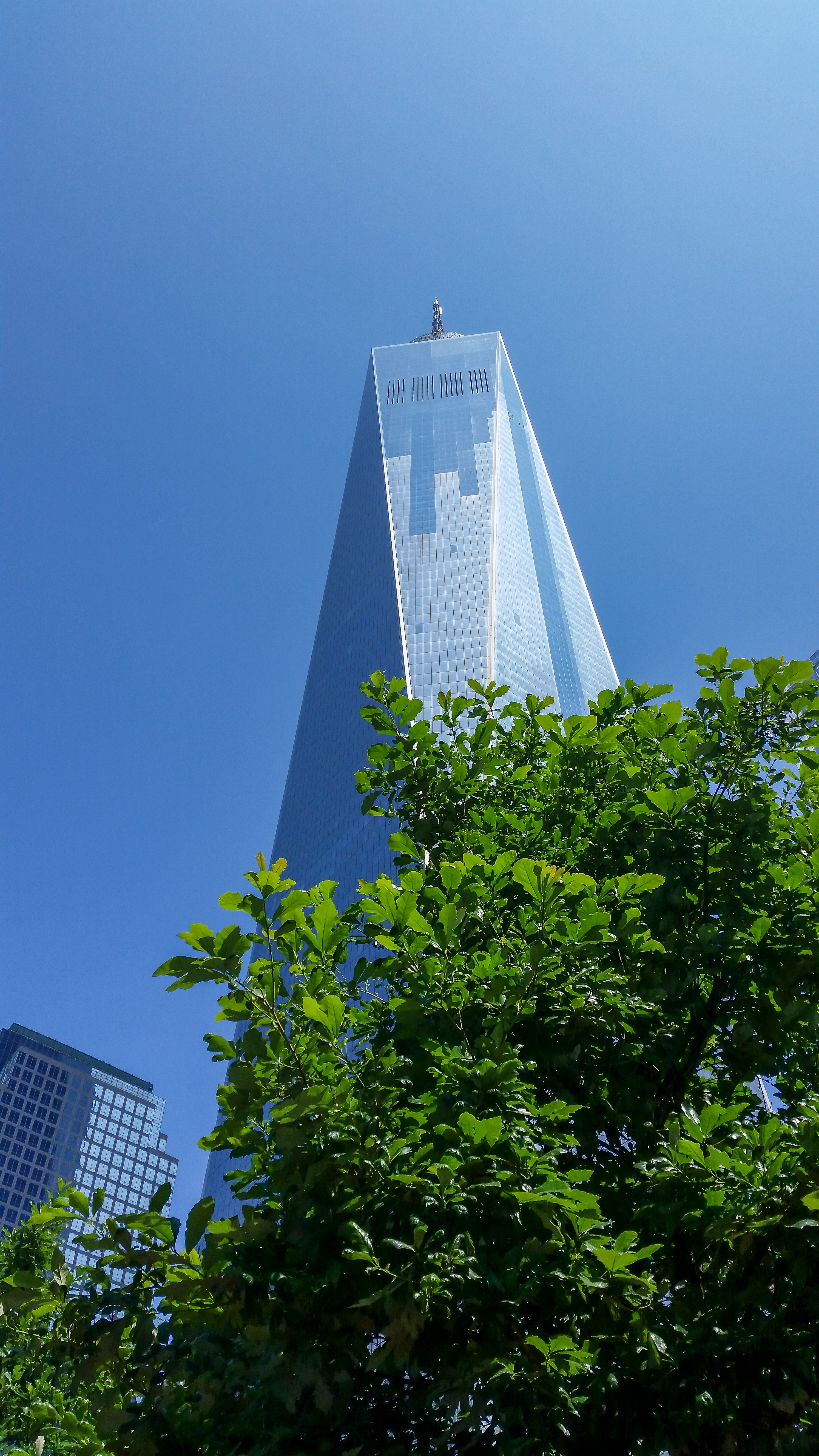 9/11 Memorial and Downtown Manhattan Private Walking Tour