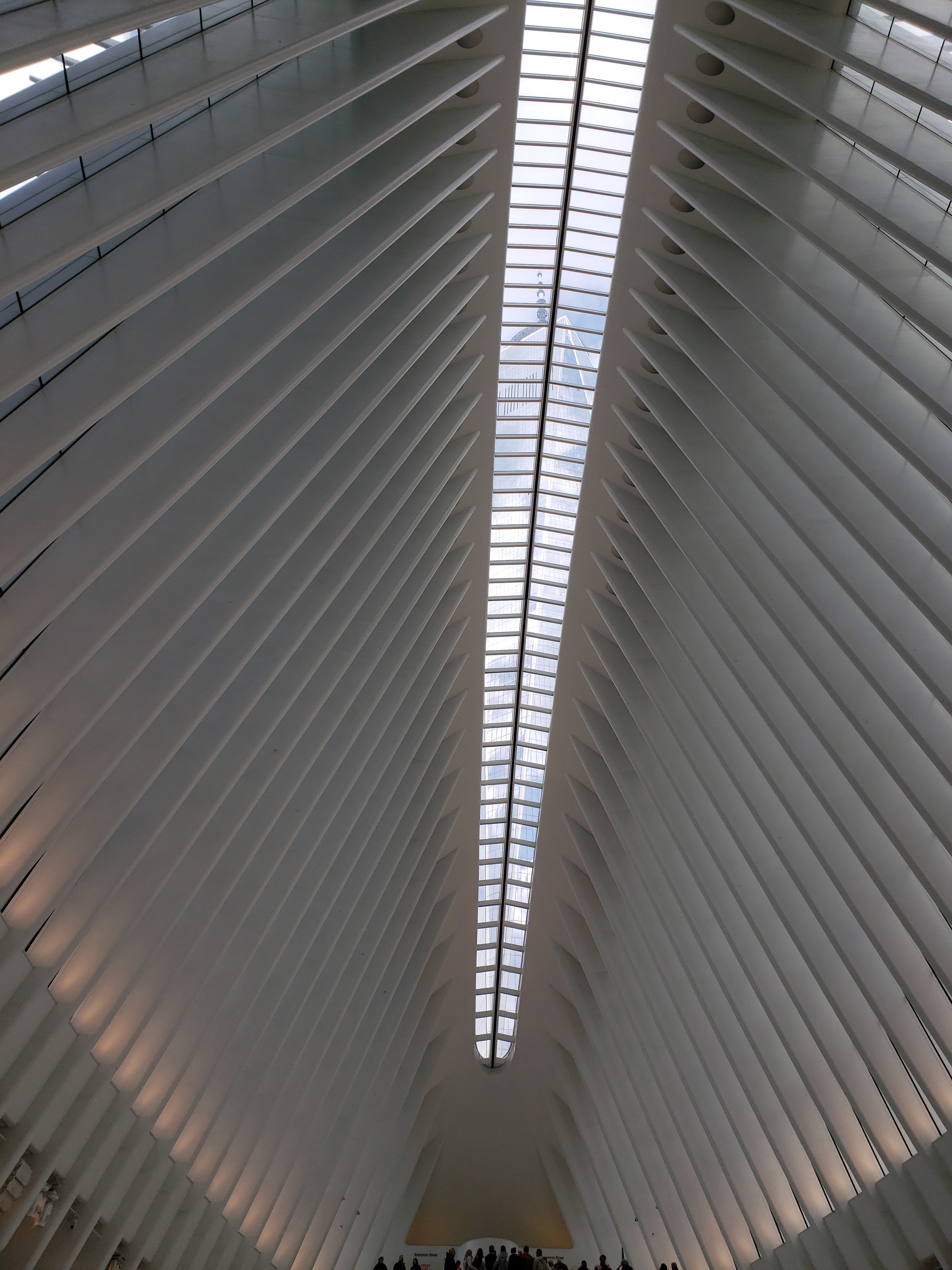 9/11 Memorial and Downtown Manhattan Private Walking Tour